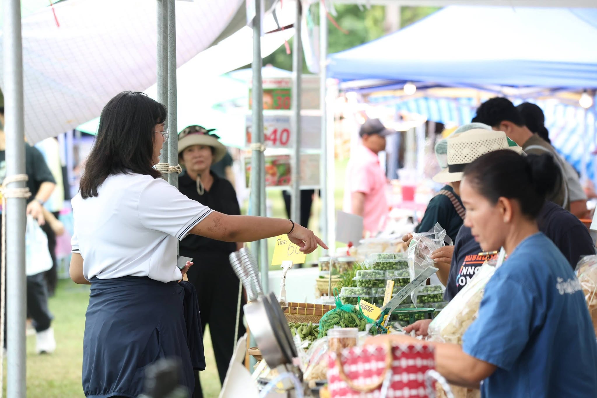 title - เปิดแล้ว! งานใหญ่บางไทร “ตลาดเกษตรศิลป์ แผ่นดินทอง” ชวนชมนิทรรศการ-ช้อปของดี 22–24 ส.ค. นี้