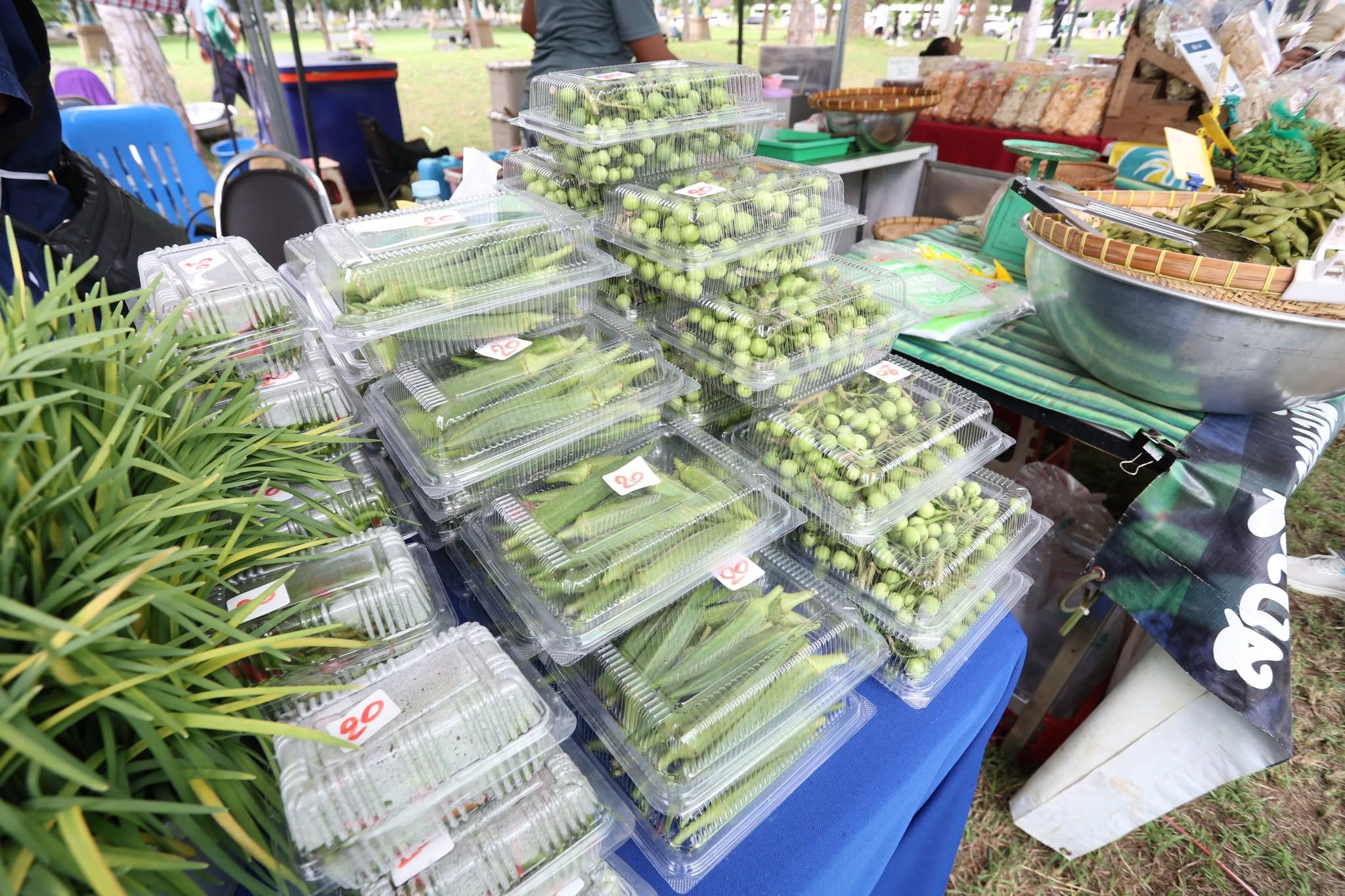 title - เปิดแล้ว! งานใหญ่บางไทร “ตลาดเกษตรศิลป์ แผ่นดินทอง” ชวนชมนิทรรศการ-ช้อปของดี 22–24 ส.ค. นี้