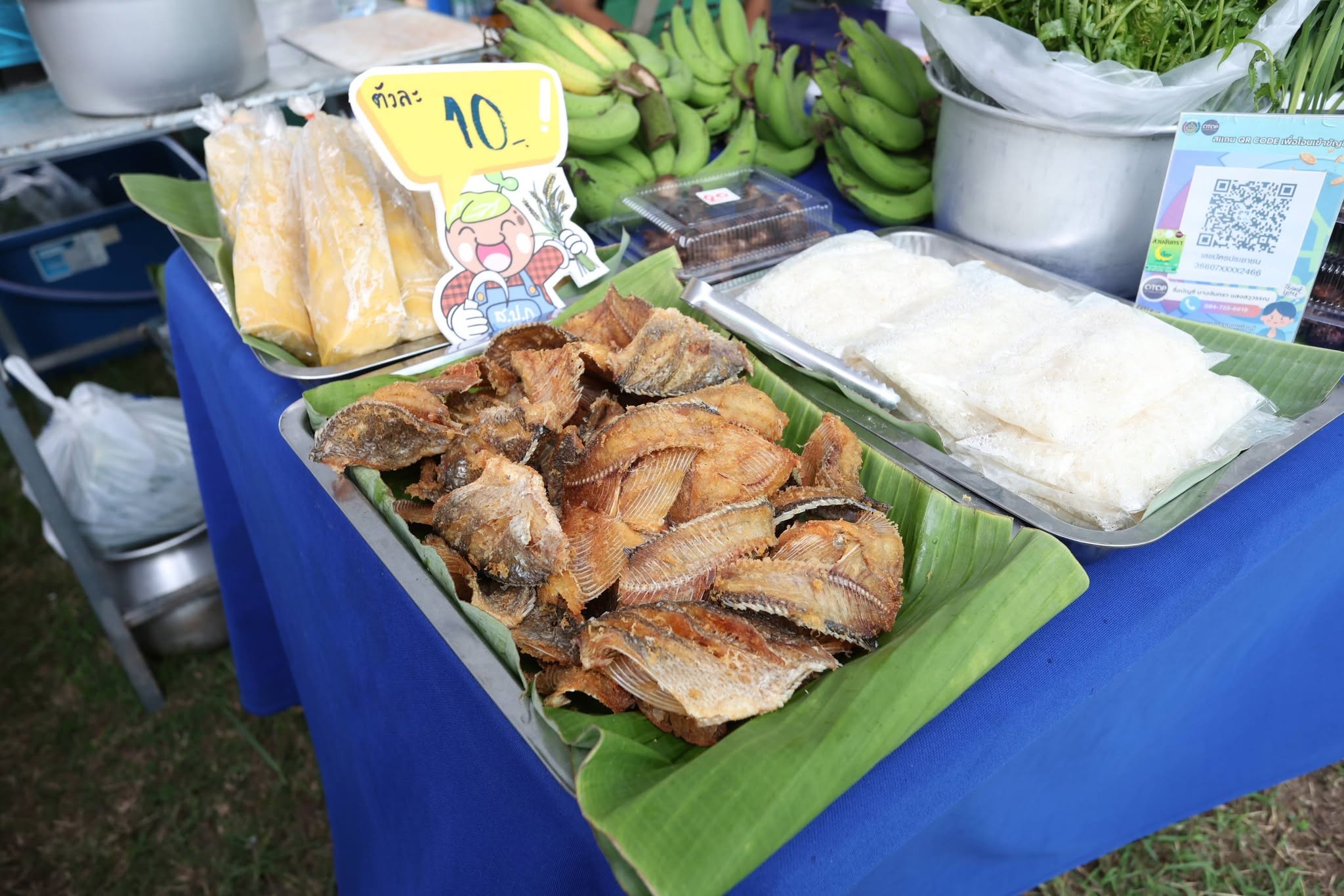 title - เปิดแล้ว! งานใหญ่บางไทร “ตลาดเกษตรศิลป์ แผ่นดินทอง” ชวนชมนิทรรศการ-ช้อปของดี 22–24 ส.ค. นี้