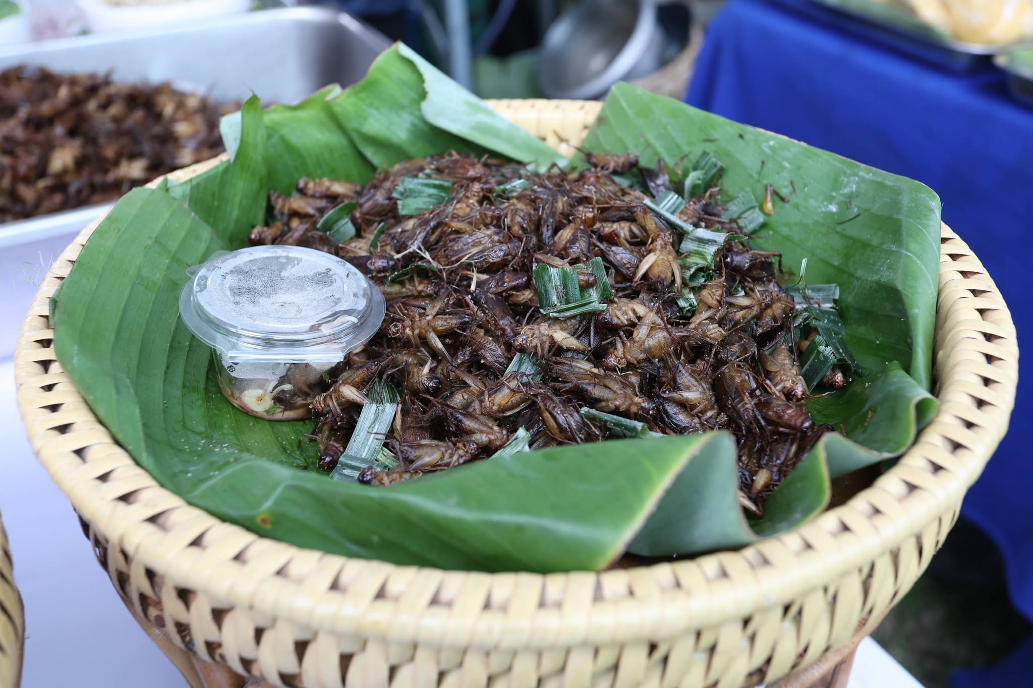 title - เปิดแล้ว! งานใหญ่บางไทร “ตลาดเกษตรศิลป์ แผ่นดินทอง” ชวนชมนิทรรศการ-ช้อปของดี 22–24 ส.ค. นี้