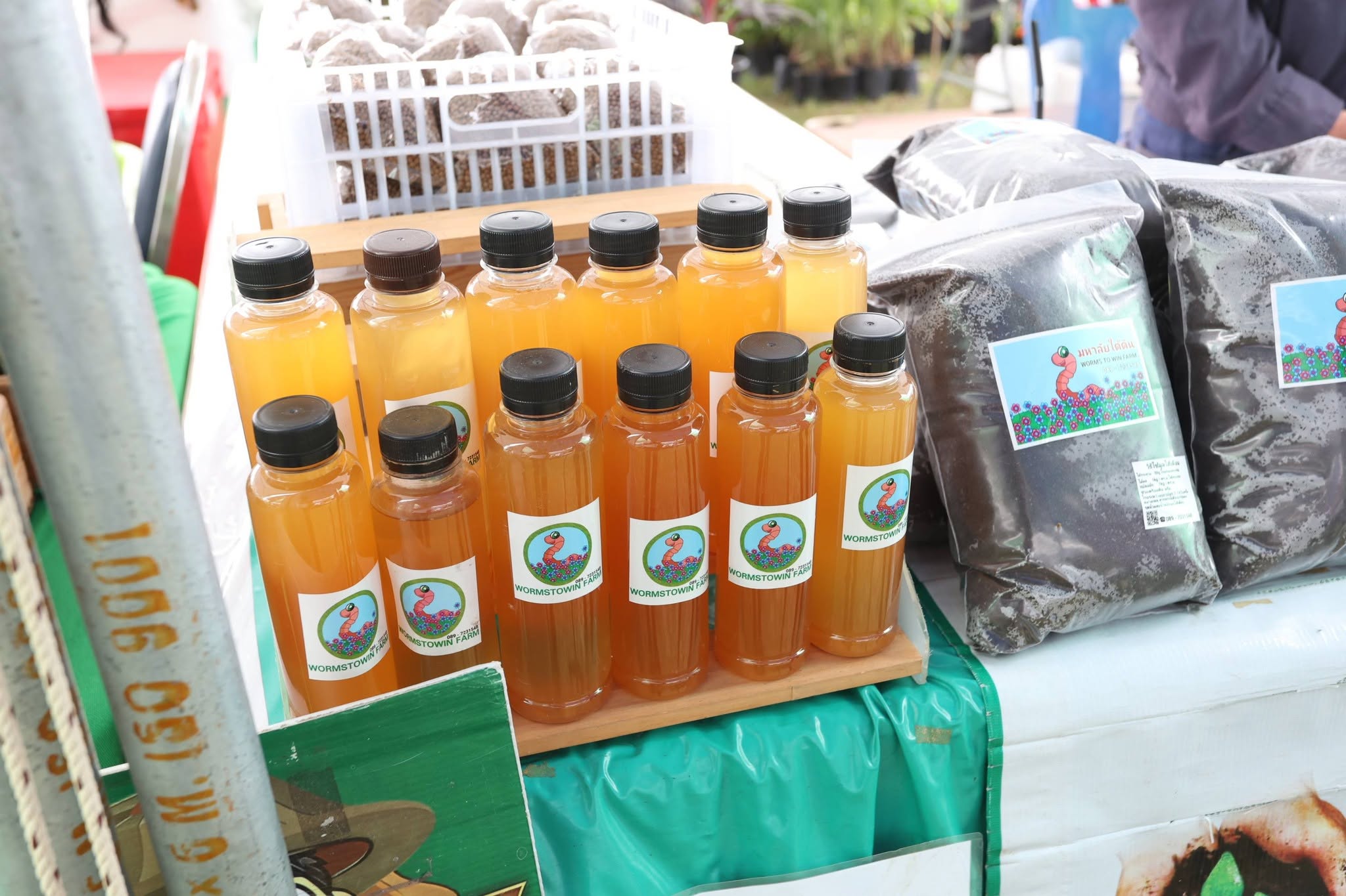 title - เปิดแล้ว! งานใหญ่บางไทร “ตลาดเกษตรศิลป์ แผ่นดินทอง” ชวนชมนิทรรศการ-ช้อปของดี 22–24 ส.ค. นี้