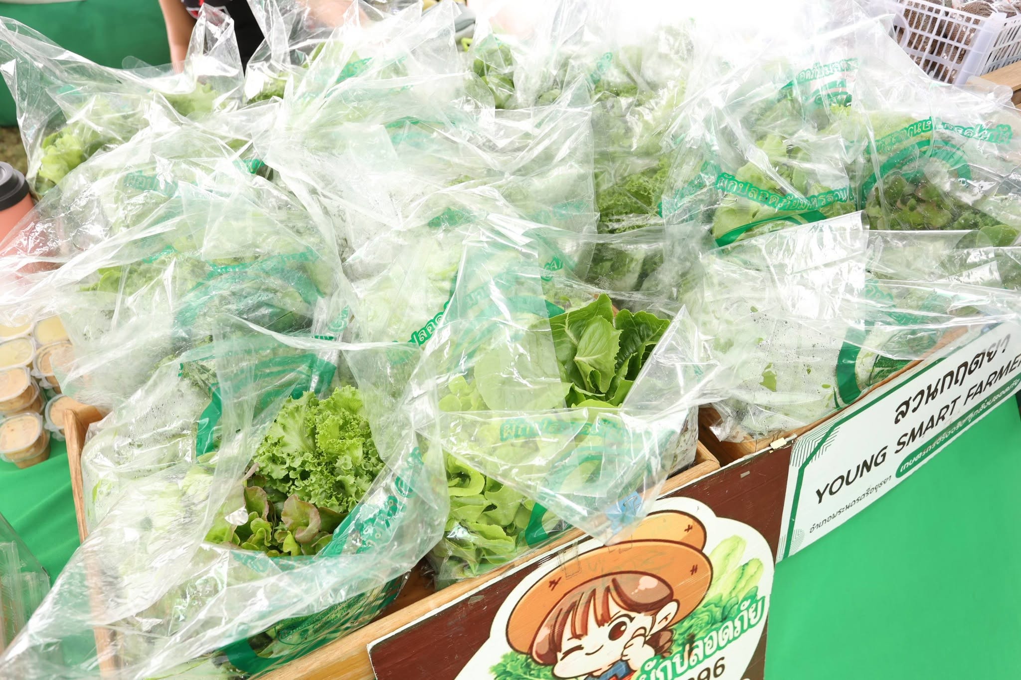 title - เปิดแล้ว! งานใหญ่บางไทร “ตลาดเกษตรศิลป์ แผ่นดินทอง” ชวนชมนิทรรศการ-ช้อปของดี 22–24 ส.ค. นี้