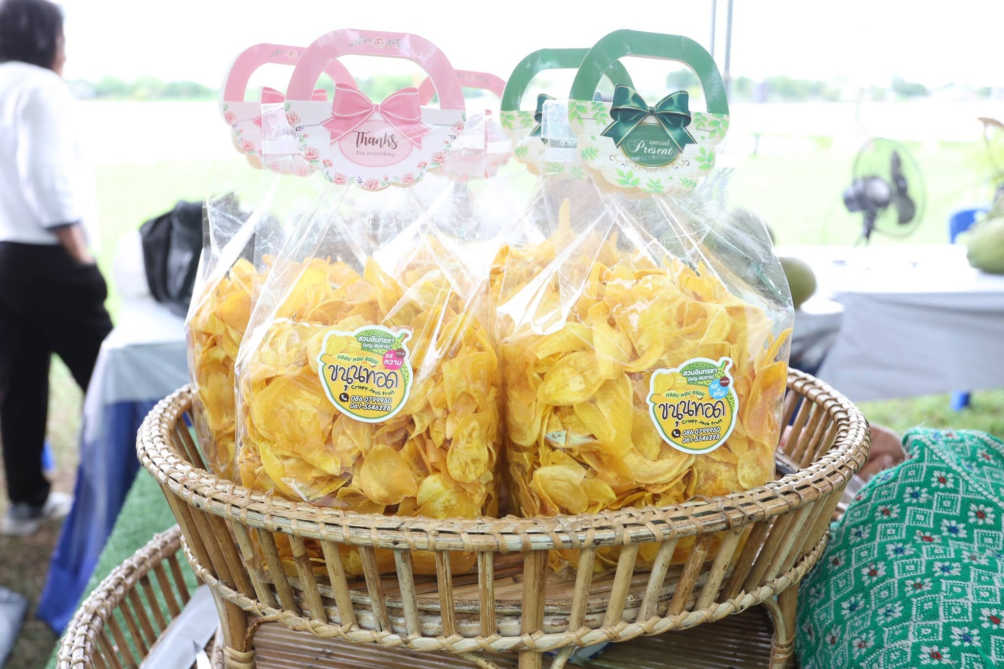 title - เปิดแล้ว! งานใหญ่บางไทร “ตลาดเกษตรศิลป์ แผ่นดินทอง” ชวนชมนิทรรศการ-ช้อปของดี 22–24 ส.ค. นี้