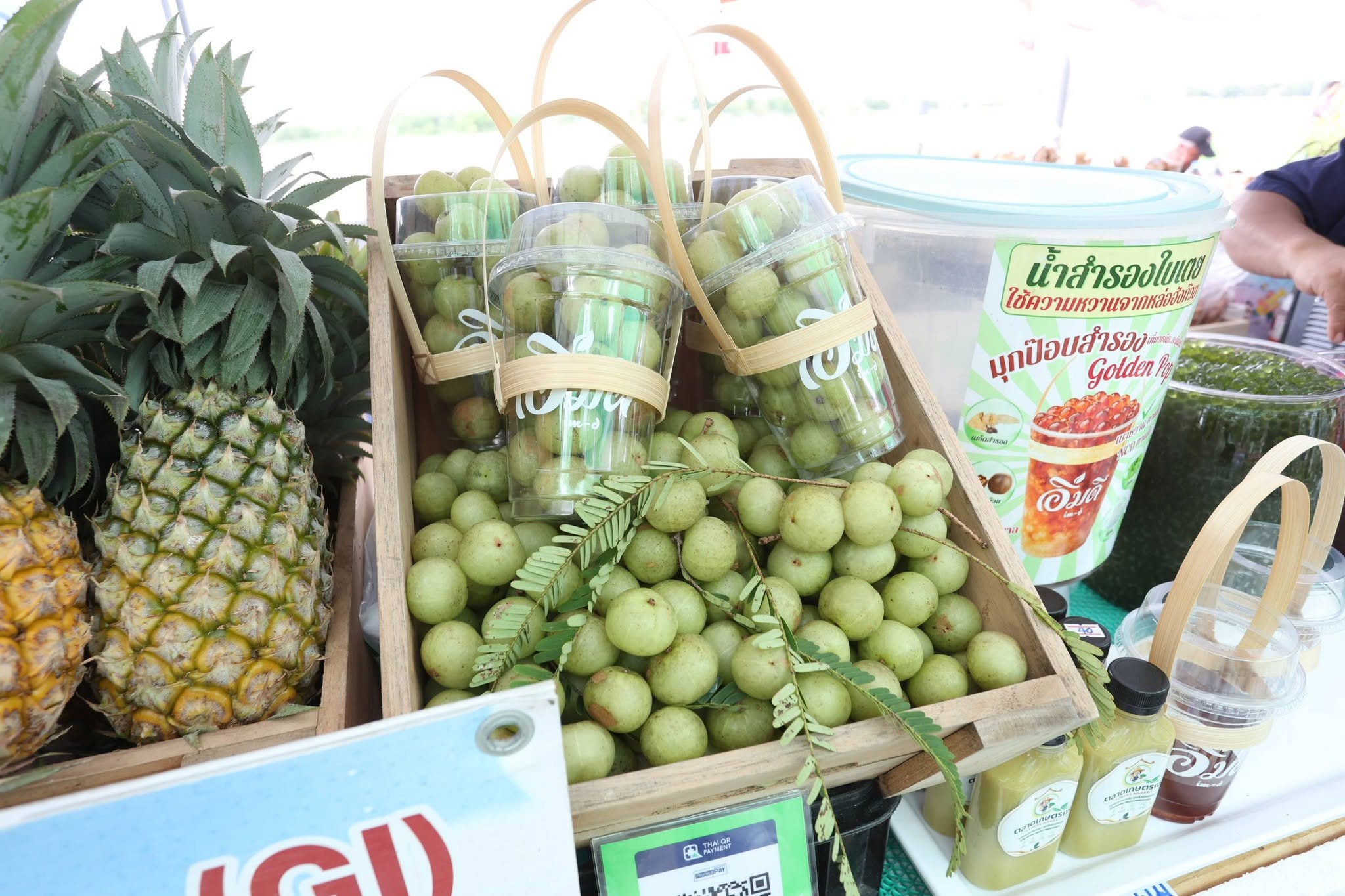 title - เปิดแล้ว! งานใหญ่บางไทร “ตลาดเกษตรศิลป์ แผ่นดินทอง” ชวนชมนิทรรศการ-ช้อปของดี 22–24 ส.ค. นี้