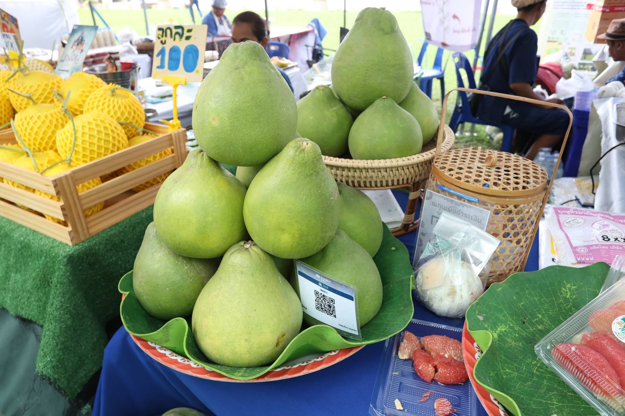 title - เปิดแล้ว! งานใหญ่บางไทร “ตลาดเกษตรศิลป์ แผ่นดินทอง” ชวนชมนิทรรศการ-ช้อปของดี 22–24 ส.ค. นี้