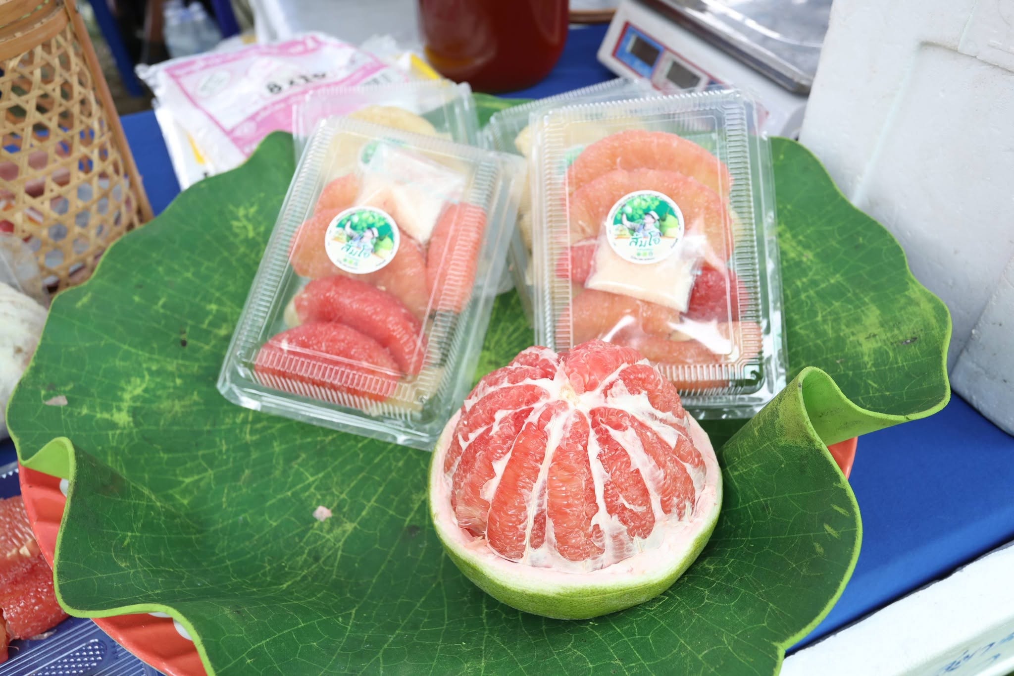 title - เปิดแล้ว! งานใหญ่บางไทร “ตลาดเกษตรศิลป์ แผ่นดินทอง” ชวนชมนิทรรศการ-ช้อปของดี 22–24 ส.ค. นี้