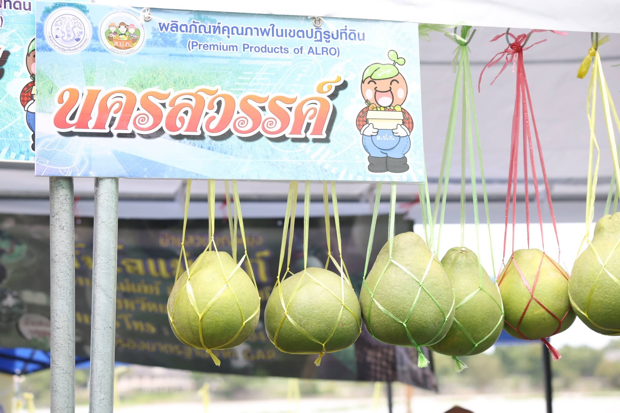 title - เปิดแล้ว! งานใหญ่บางไทร “ตลาดเกษตรศิลป์ แผ่นดินทอง” ชวนชมนิทรรศการ-ช้อปของดี 22–24 ส.ค. นี้