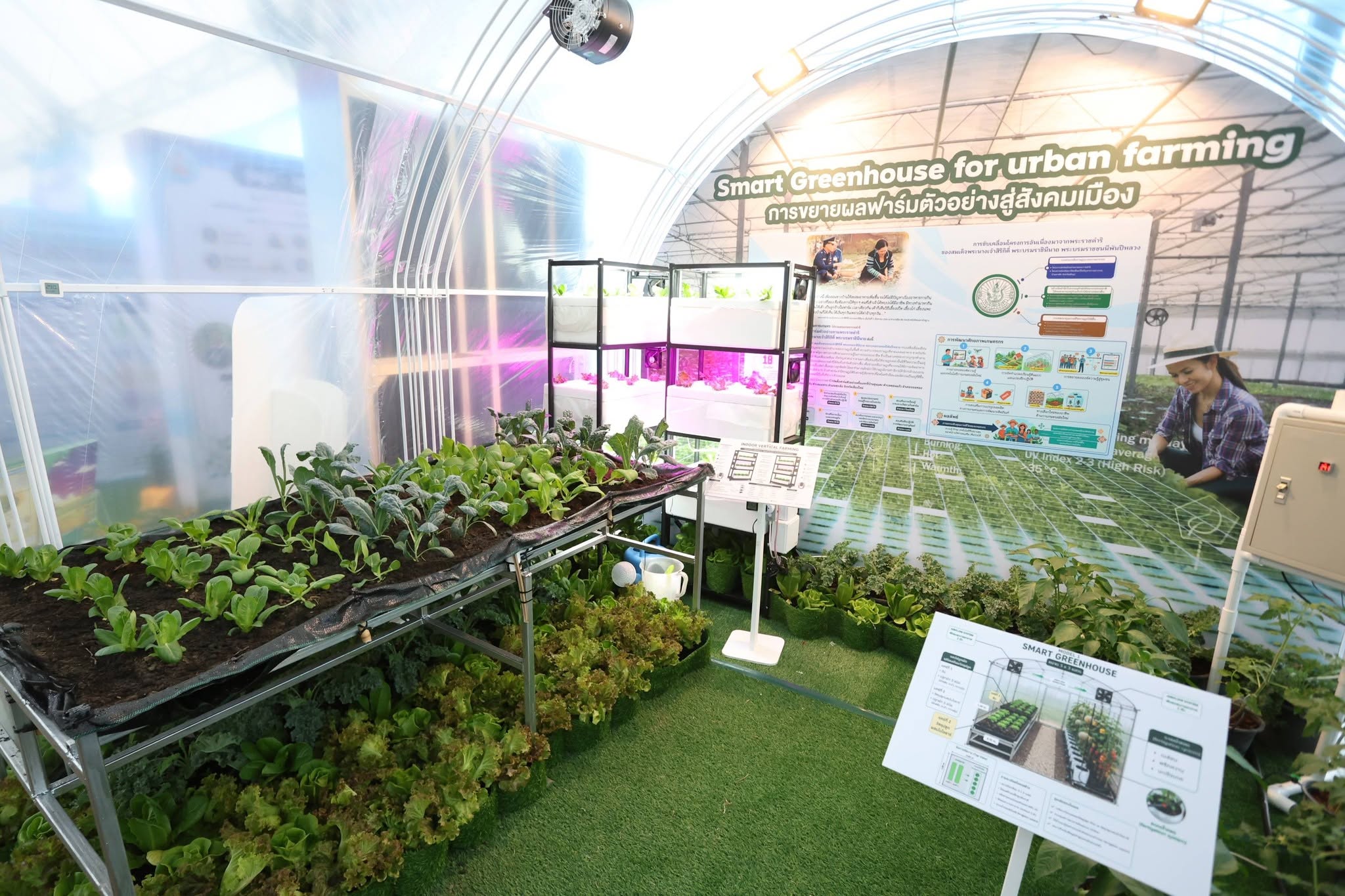 title - คึกคักรับวันที่สอง สพท. ส่งทีมร่วมสร้างสีสันงาน “สืบสานพระราชปณิธานฯ” ชวนช้อป-ชิม-เวิร์กช็อปถึงวันพรุ่งนี้