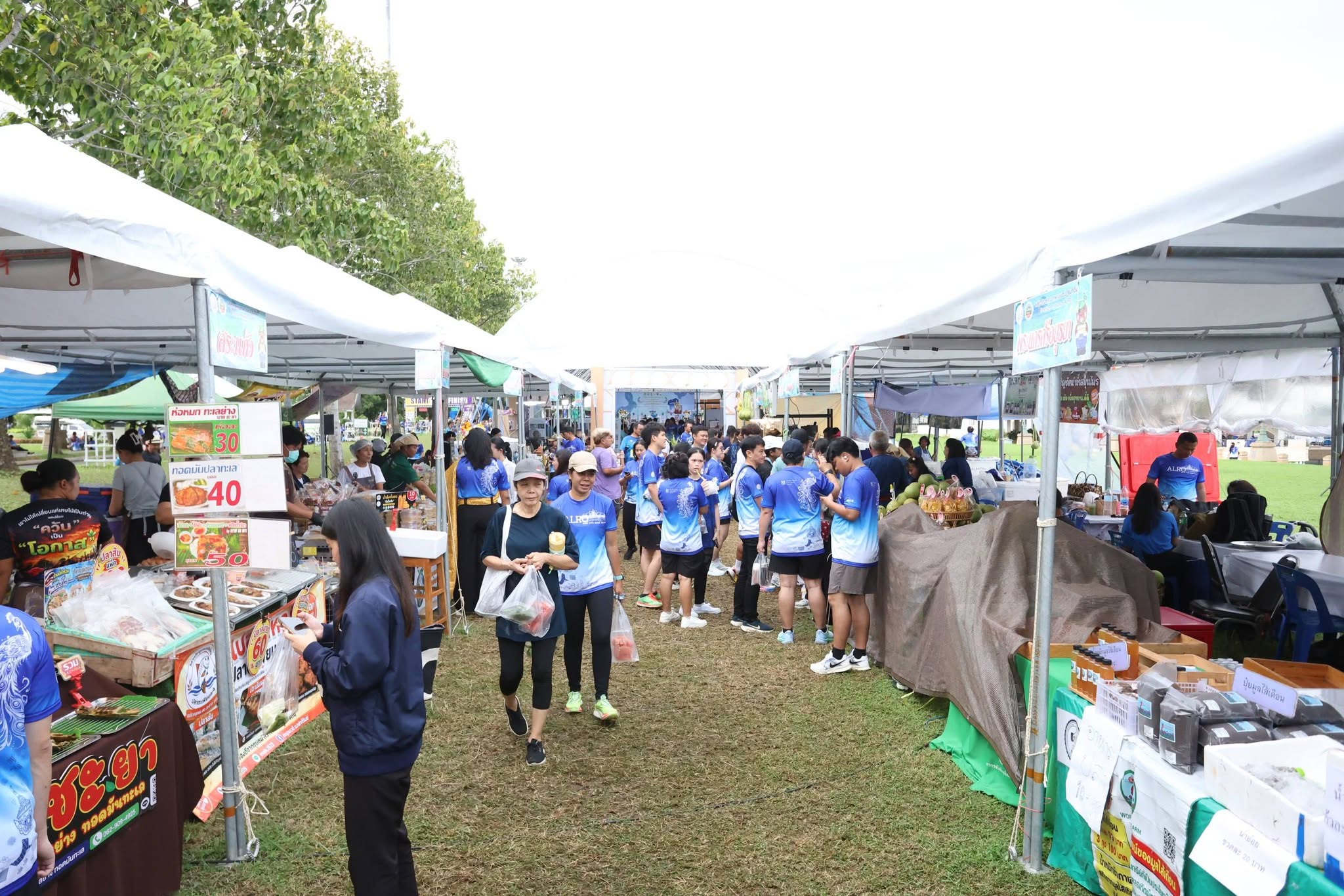 title - สพท. ร่วมกิจกรรม ALRO RUN 2026 พร้อมมอบรางวัลนักวิ่ง 2 รุ่น