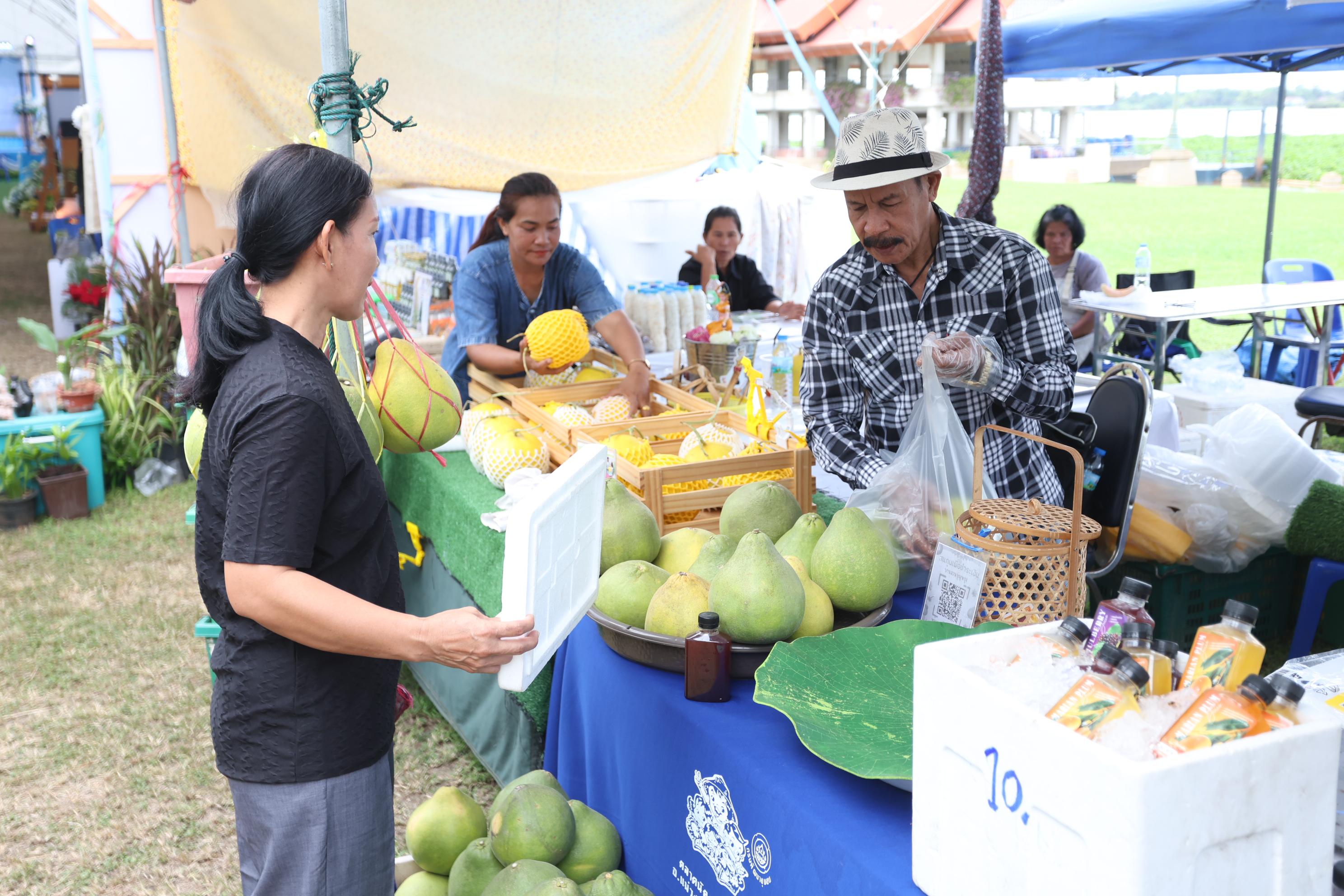title - ส.ป.ก. ส่งท้าย “ตลาดเกษตรศิลป์ แผ่นดินทอง” วันสุดท้าย ต่อยอดโอกาสและรายได้สู่เกษตรกรในเขตปฏิรูปที่ดิน