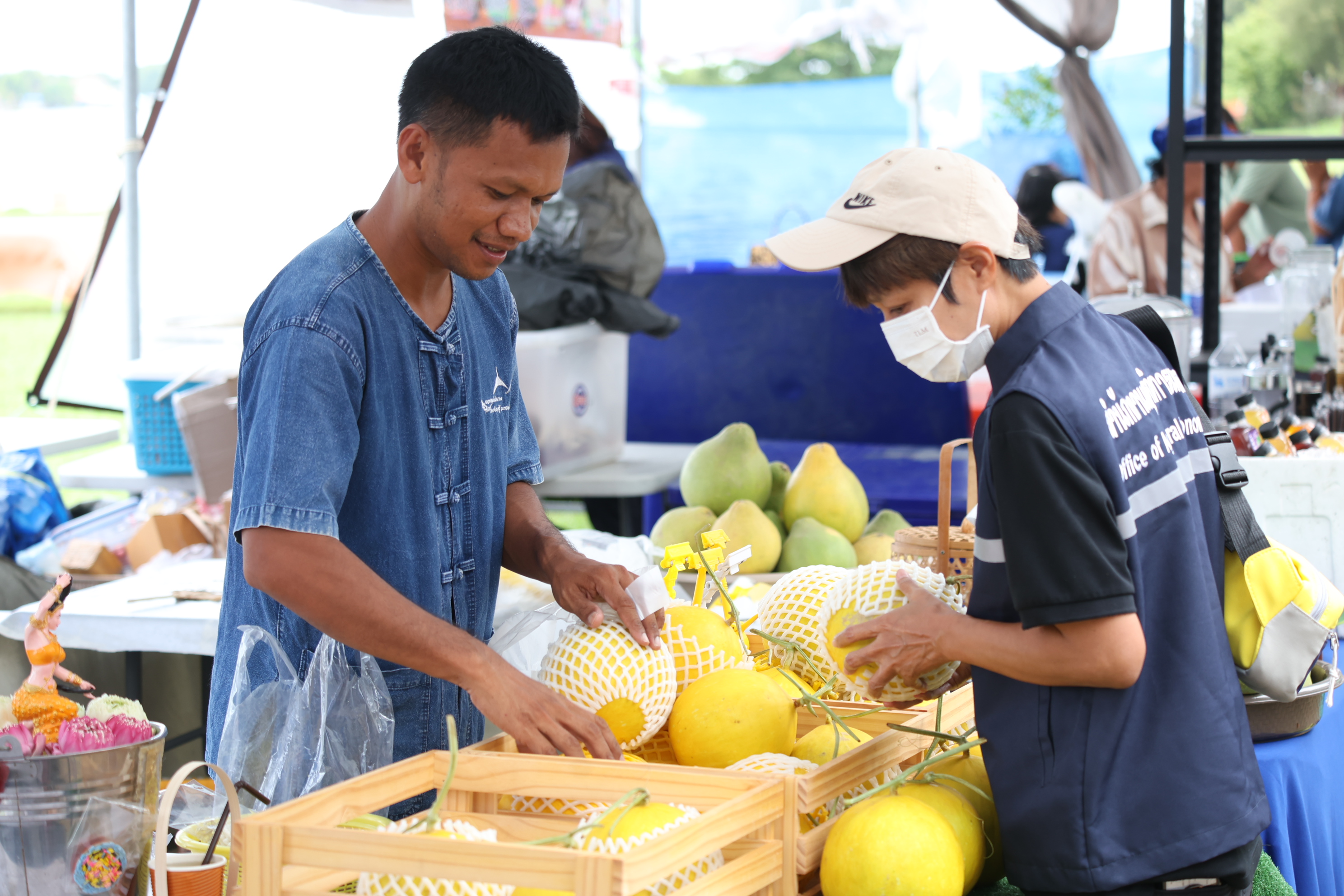 title - ส.ป.ก. ส่งท้าย “ตลาดเกษตรศิลป์ แผ่นดินทอง” วันสุดท้าย ต่อยอดโอกาสและรายได้สู่เกษตรกรในเขตปฏิรูปที่ดิน