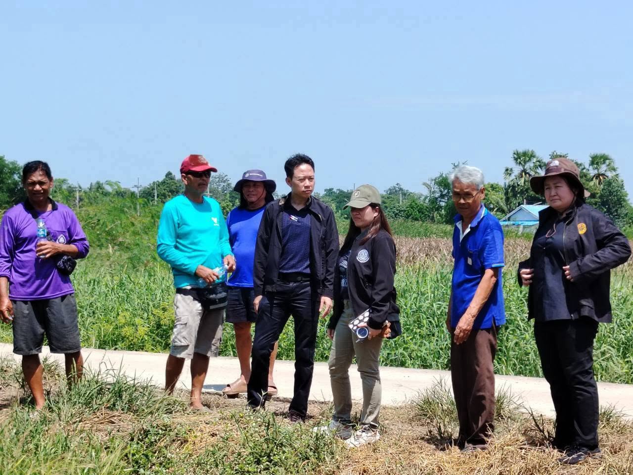 title - กพก. ลงพื้นที่แปลงใหญ่ข้าว และติดตามการใช้งานเทคโนโลยี IoT จ.พระนครศรีอยุธยา