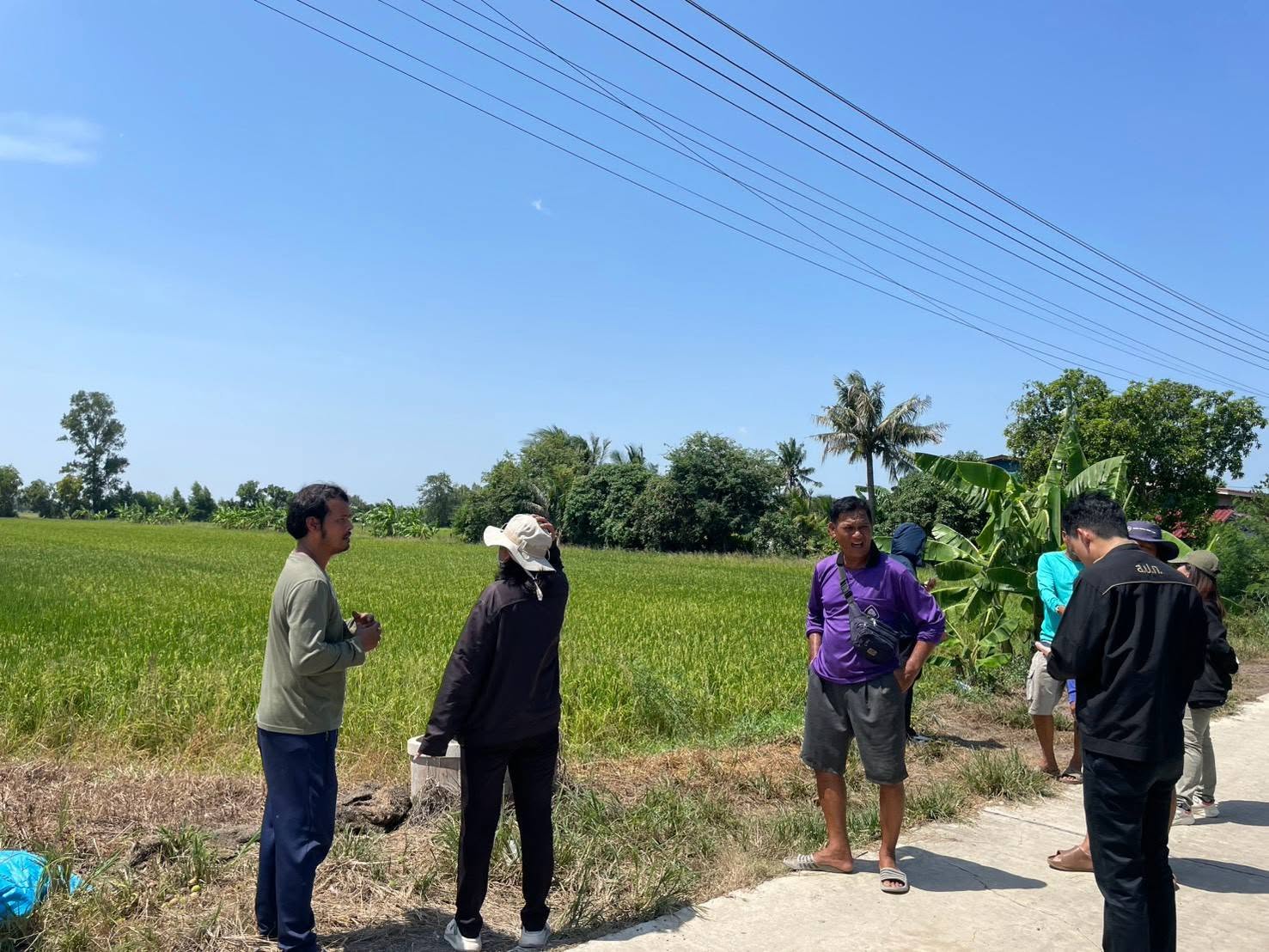 title - กพก. ลงพื้นที่แปลงใหญ่ข้าว และติดตามการใช้งานเทคโนโลยี IoT จ.พระนครศรีอยุธยา