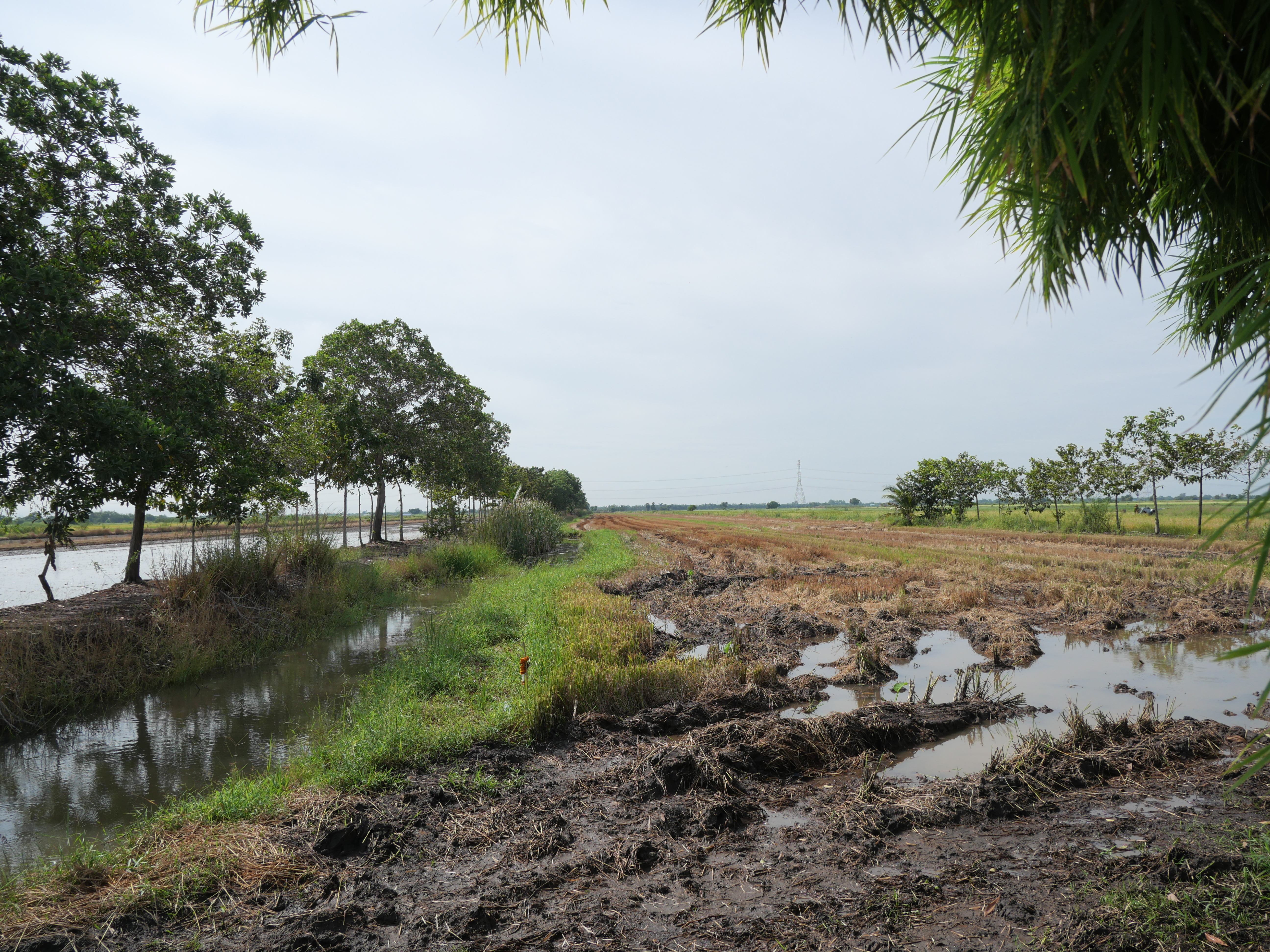 title - กพม. ติดตามผล Smart Farmer ต้นแบบและแปลง 8421 พระนครศรีอยุธยา