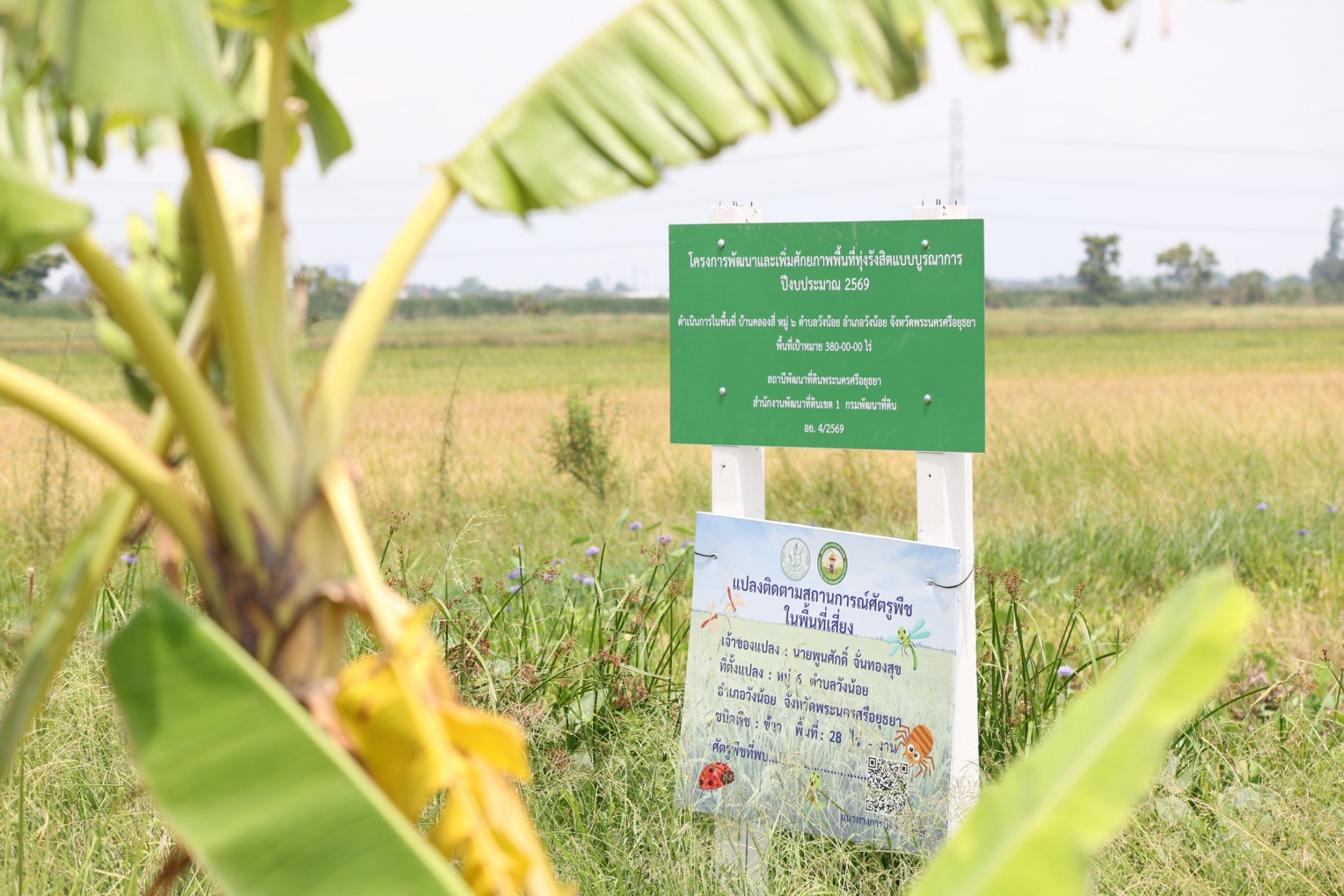 title - กพม. ติดตามผล Smart Farmer ต้นแบบและแปลง 8421 พระนครศรีอยุธยา