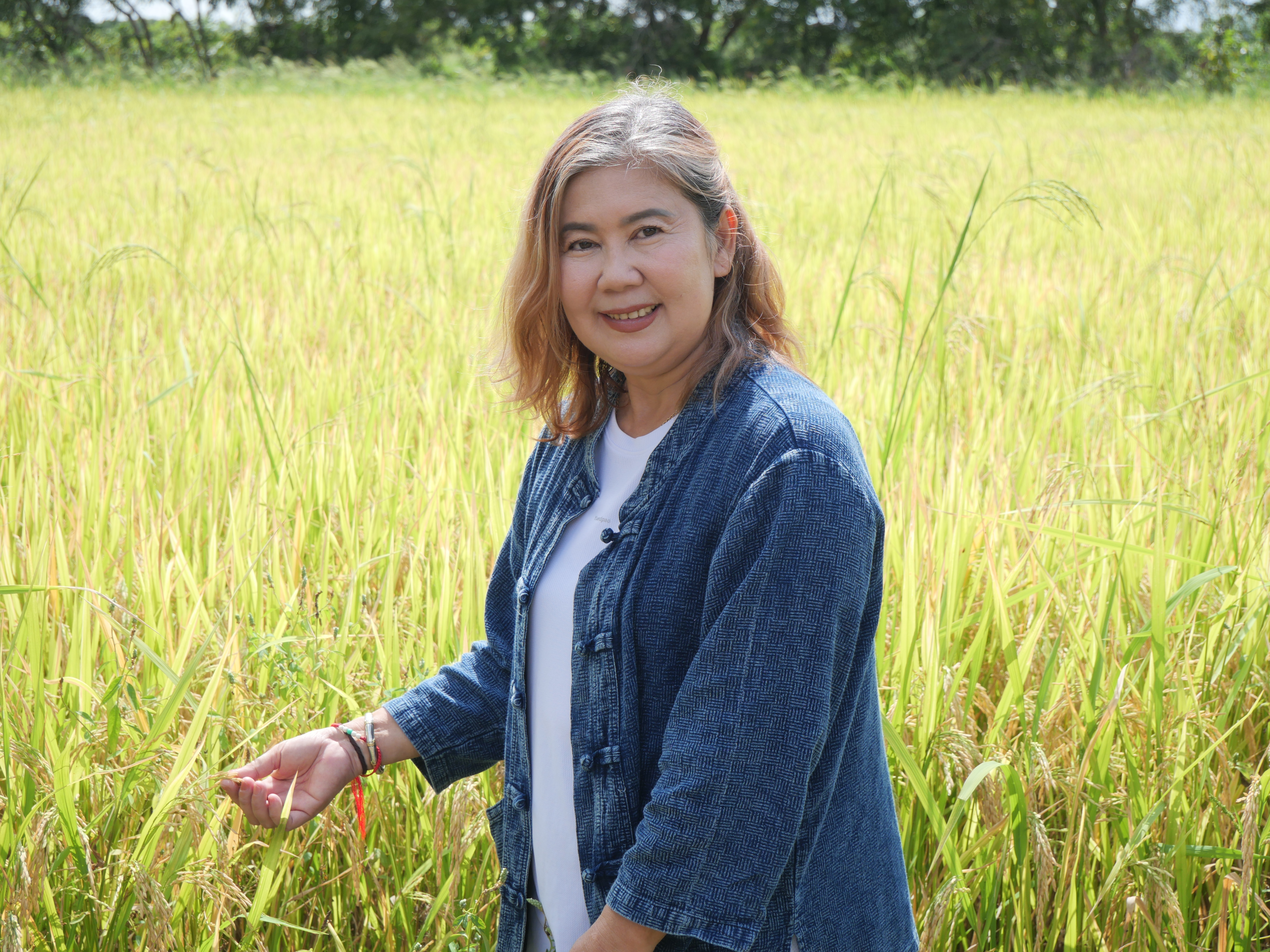 title - กพม. ติดตามผล Smart Farmer ต้นแบบและแปลง 8421 พระนครศรีอยุธยา