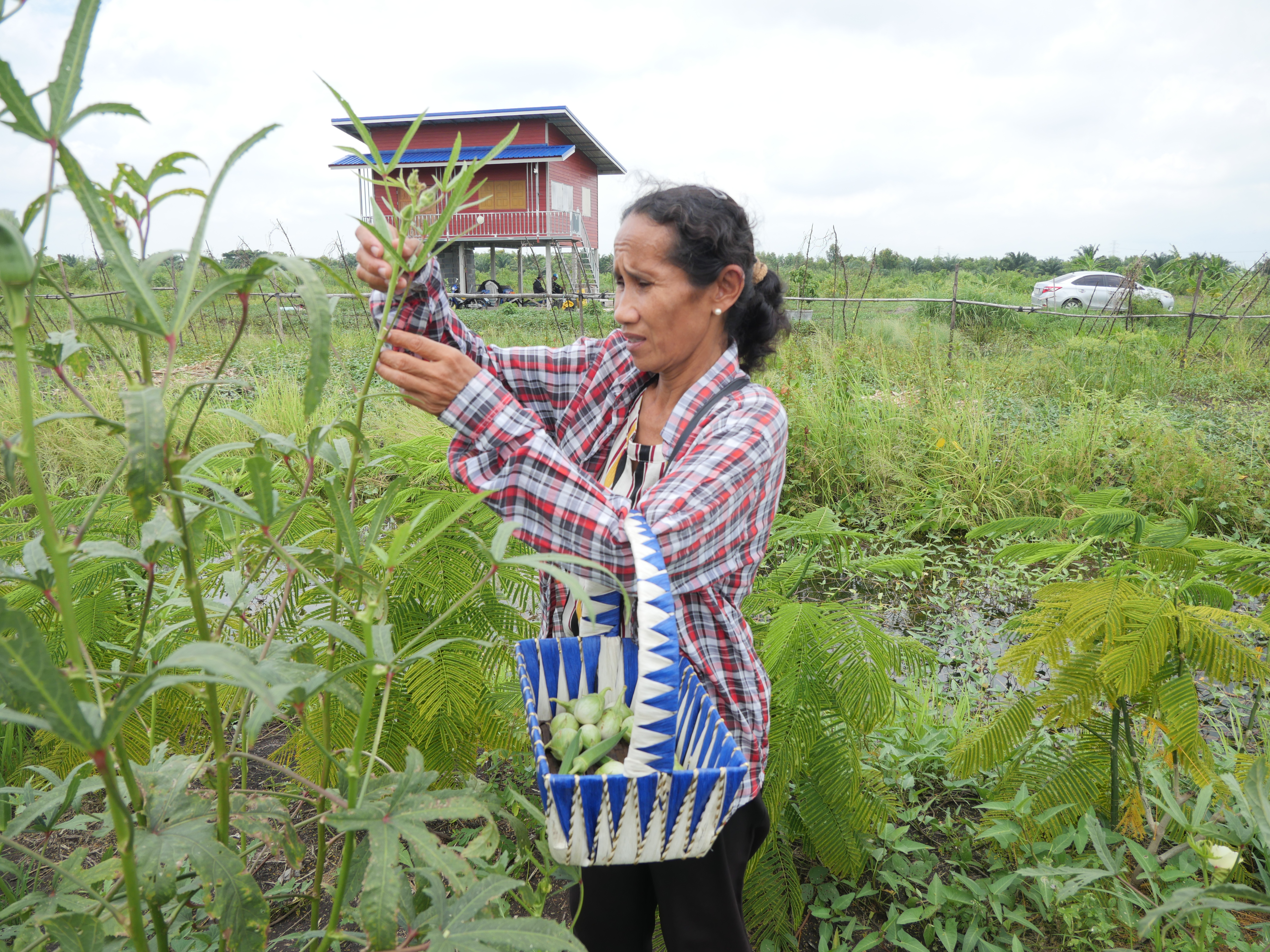 title - กพม. ติดตามผล Smart Farmer ต้นแบบและแปลง 8421 พระนครศรีอยุธยา