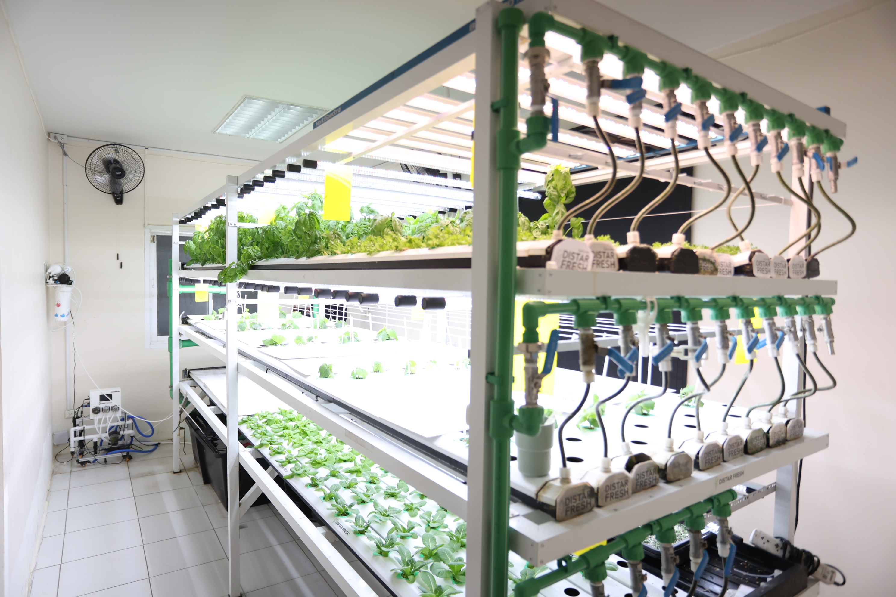 title - สพท. ดูงาน DISTAR FRESH Farm ต้นแบบฟาร์มเกษตรแนวใหม่ นำนวัตกรรมดิจิทัลขับเคลื่อนงานส่งเสริมการเกษตร