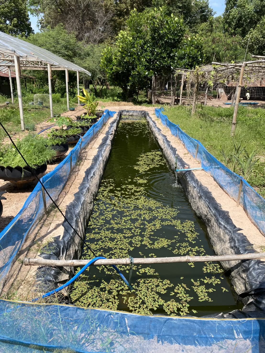 title - กอฟ. ติดตามการดำเนินงานโครงการเกษตรกรรมยั่งยืน จ.มหาสารคาม ปีงบประมาณ 2569