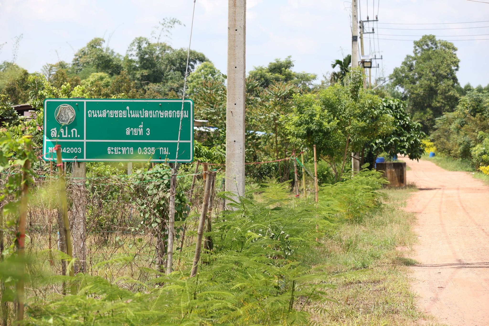 title - สพท. เยี่ยมแปลงเกษตรกร คทช.บ่อทอง รับฟังปัญหาน้ำท่วมและช้างป่ารุกแปลงเกษตรกรรม
