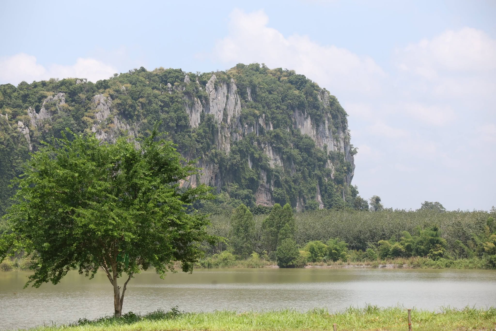 title - สพท. เยี่ยมแปลงเกษตรกร คทช.บ่อทอง รับฟังปัญหาน้ำท่วมและช้างป่ารุกแปลงเกษตรกรรม