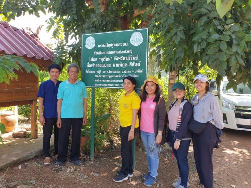 กลุ่มพัฒนาเกษตรกรและเครือข่ายผู้นำ (กพก.) ลงพื้นที่ประสานการดำเนินงาน โครงการส่งเสริมระบบเกษตรแบบแปลงใหญ่ จังหวัดบุรีรัมย์ ระหว่างวันที่ 13 - 17  กรกฎาคม 2563  