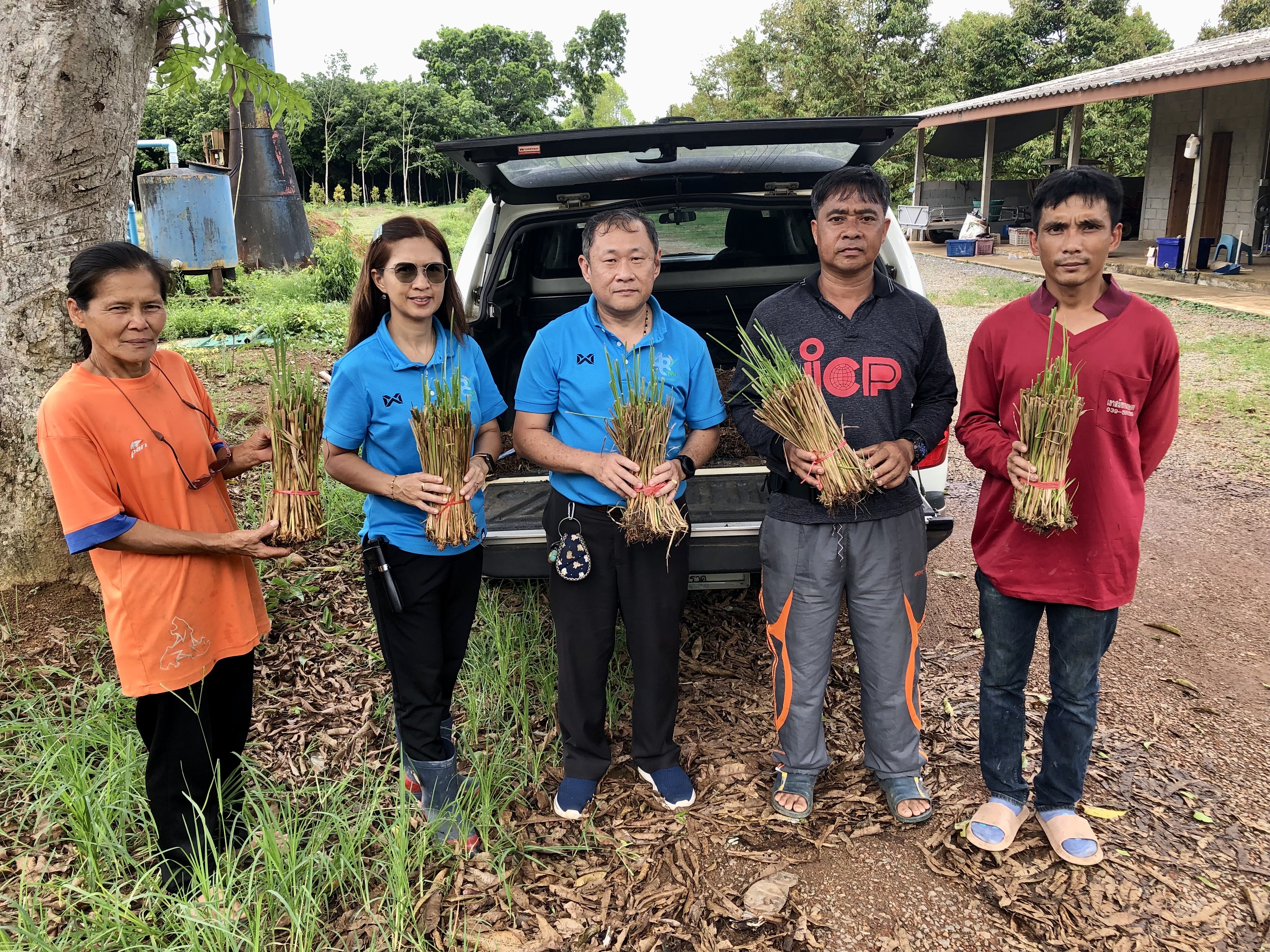 โครงการส่งเสริมการดำเนินงานอันเนื่องมาจากพระราชดำริ กิจกรรมพัฒนาตามแนวทาง พระราชดำริ กิจกรรมย่อยโครงการพัฒนาและรณรงค์การใช้หญ้าแฝกอันเนื่องมาจาก พระราชดำริ ประจำปีงบประมาณ พ.ศ. 2567