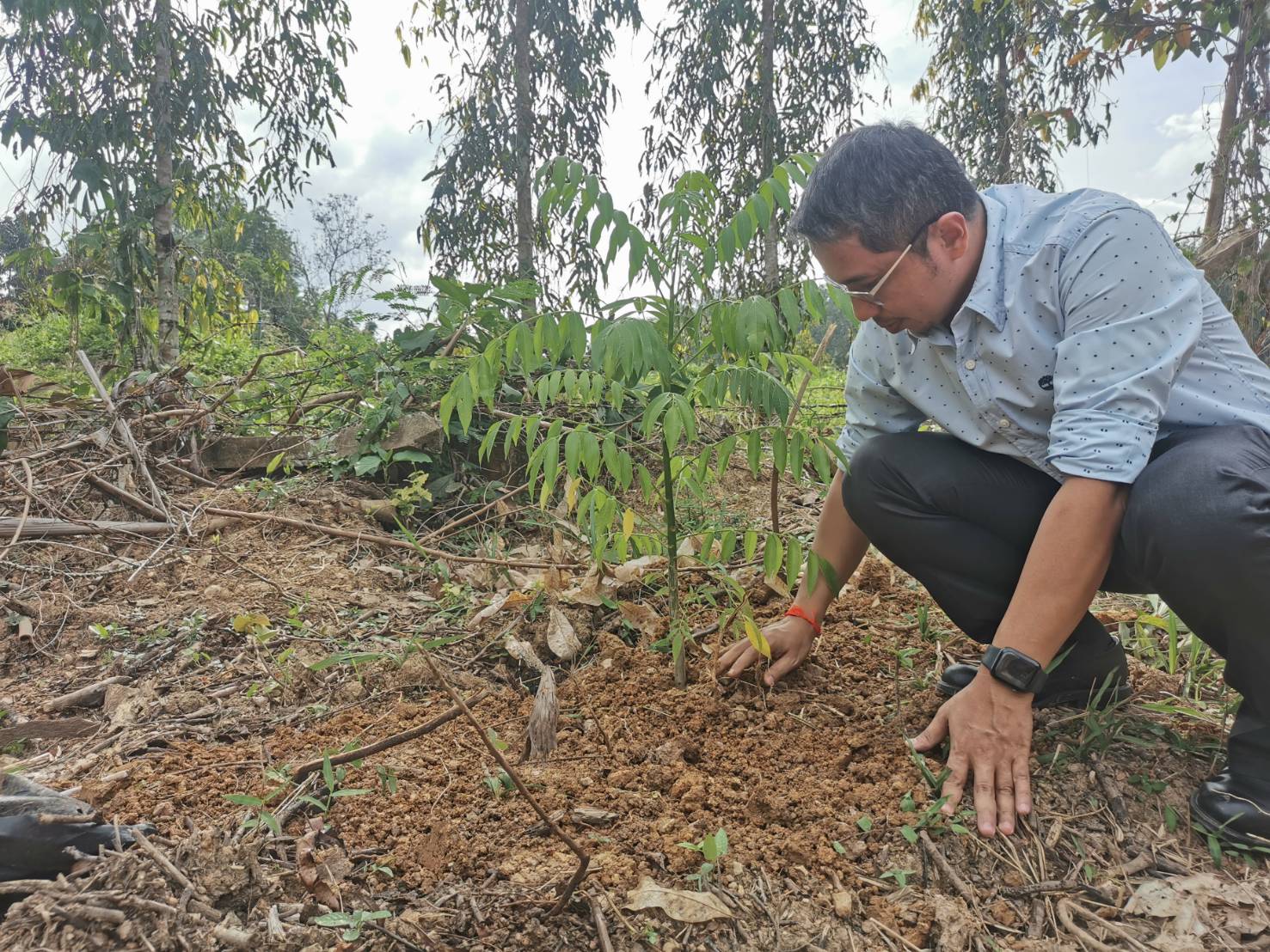 ส.ป.ก.ตราด ร่วมกิจกรรม วันรักต้นไม้ประจำปีของชาติ พ.ศ 2565