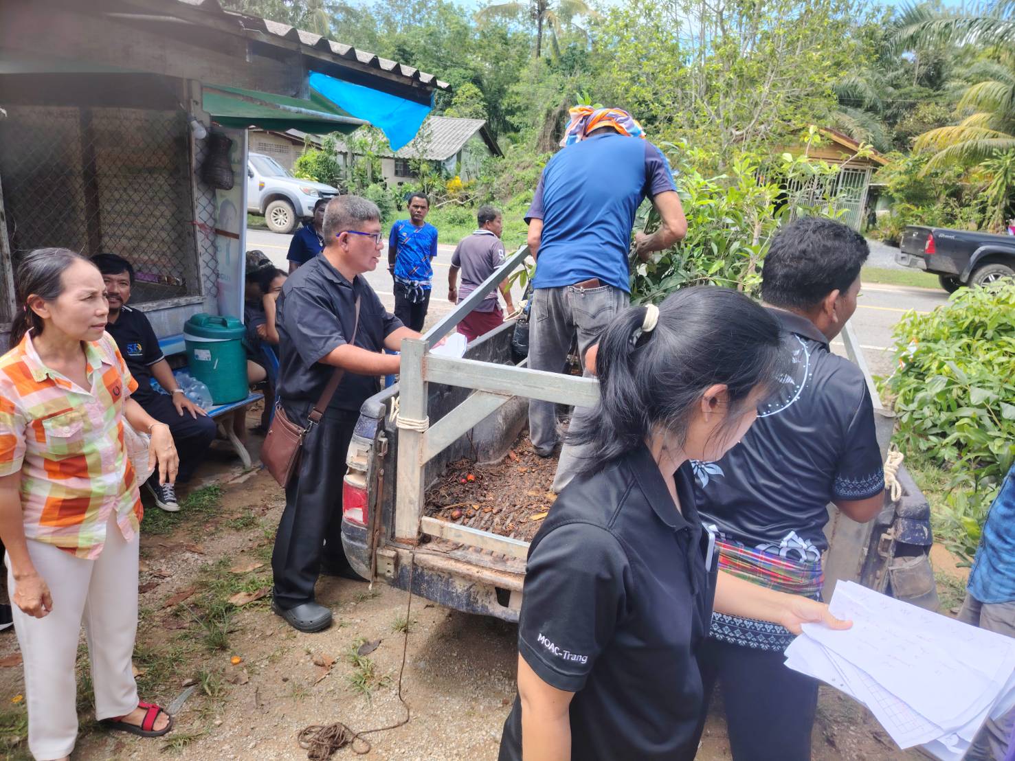 title - ส.ป.ก.ตรัง มอบปัจจัยการผลิตทางการเกษตร ภายใต้โครงการพัฒนาเกษตรกรรมยั่งยืน กิจกรรมพัฒนาเกษตรกรรมยั่งยืนในเขตปฏิรูปที่ดินจังหวัดตรัง ปีงบประมาณ พ.ศ. ๒๕๖๙
