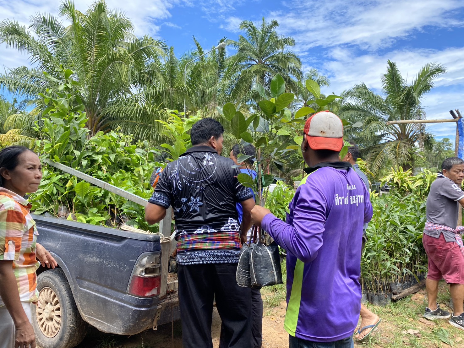 title - ส.ป.ก.ตรัง มอบปัจจัยการผลิตทางการเกษตร ภายใต้โครงการพัฒนาเกษตรกรรมยั่งยืน กิจกรรมพัฒนาเกษตรกรรมยั่งยืนในเขตปฏิรูปที่ดินจังหวัดตรัง ปีงบประมาณ พ.ศ. ๒๕๖๙