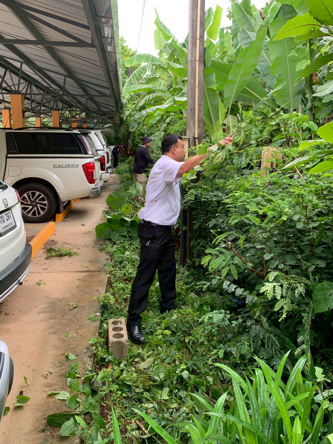 title - ส.ป.ก.ตรัง  ร่วมกันจัดกิจกรรม 5 ส (Big Cleaning Day)