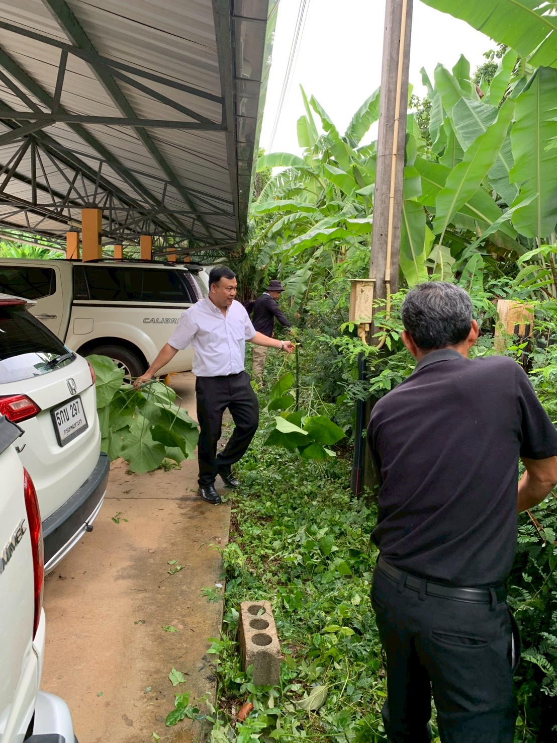 title - ส.ป.ก.ตรัง  ร่วมกันจัดกิจกรรม 5 ส (Big Cleaning Day)