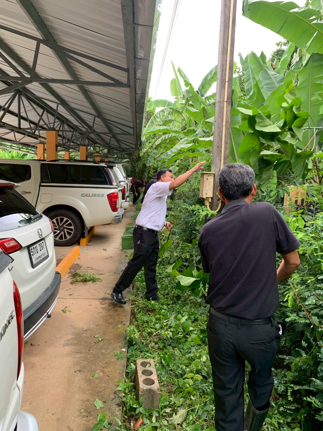 title - ส.ป.ก.ตรัง  ร่วมกันจัดกิจกรรม 5 ส (Big Cleaning Day)