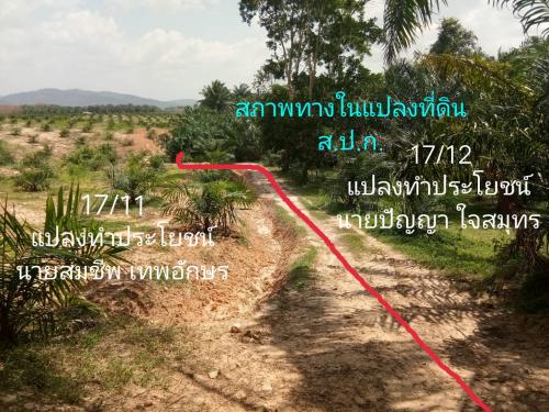 วันที่ 5 กุมภาพันธ์ 2561 นายวัชรินทร์ ริยาพันธุ์ ปฏิรูปที่ดินจังหวัดตรัง มอบหมายนายเพิ่มศักดิ์ วรรณบวร ผอ.กลุ่มกฎหมาย และนายเสกสันต์ จันทร์เกื้อ ผอ.กลุ่มงานช่างฯ ร่วมตรวจสอบพื้นที่ ม.12 ต.อ่าวตง อ.วังวิเศษ จ.ตรัง 