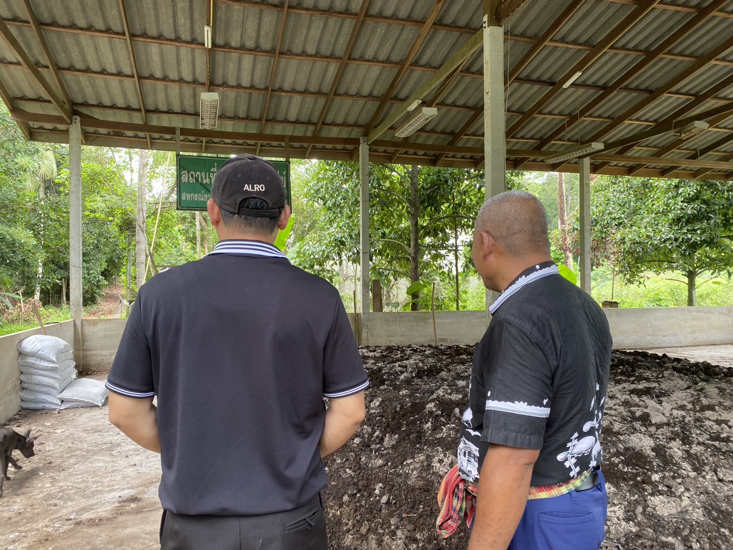 title - สำนักงานการปฏิรูปที่ดินจังหวัดตรัง ลงพื้นที่ตรวจเยี่ยมแปลงเกษตรกรในเขตปฏิรูปที่ดินจังหวัดตรัง    