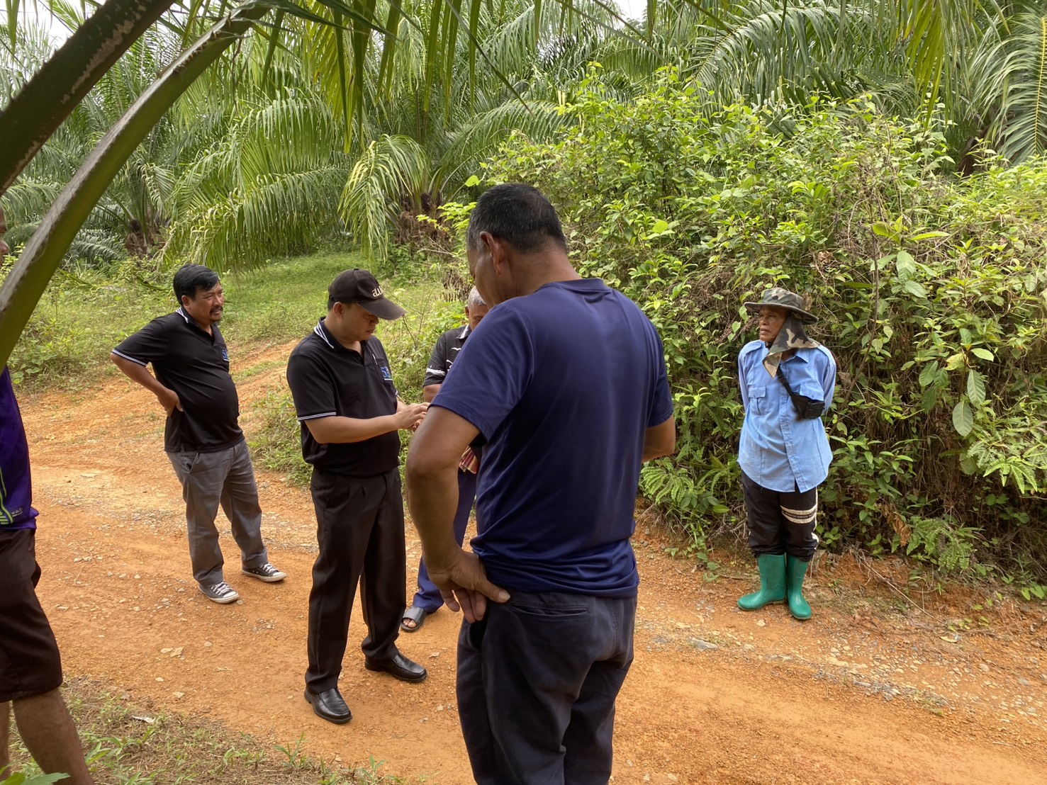 title - สำนักงานการปฏิรูปที่ดินจังหวัดตรัง ลงพื้นที่ตรวจเยี่ยมแปลงเกษตรกรในเขตปฏิรูปที่ดินจังหวัดตรัง    