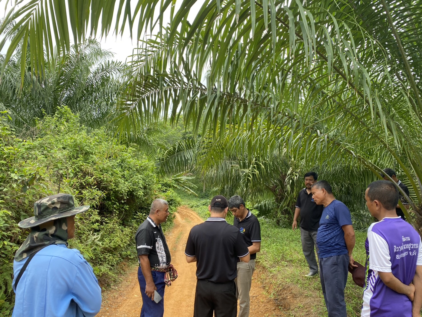 title - สำนักงานการปฏิรูปที่ดินจังหวัดตรัง ลงพื้นที่ตรวจเยี่ยมแปลงเกษตรกรในเขตปฏิรูปที่ดินจังหวัดตรัง    