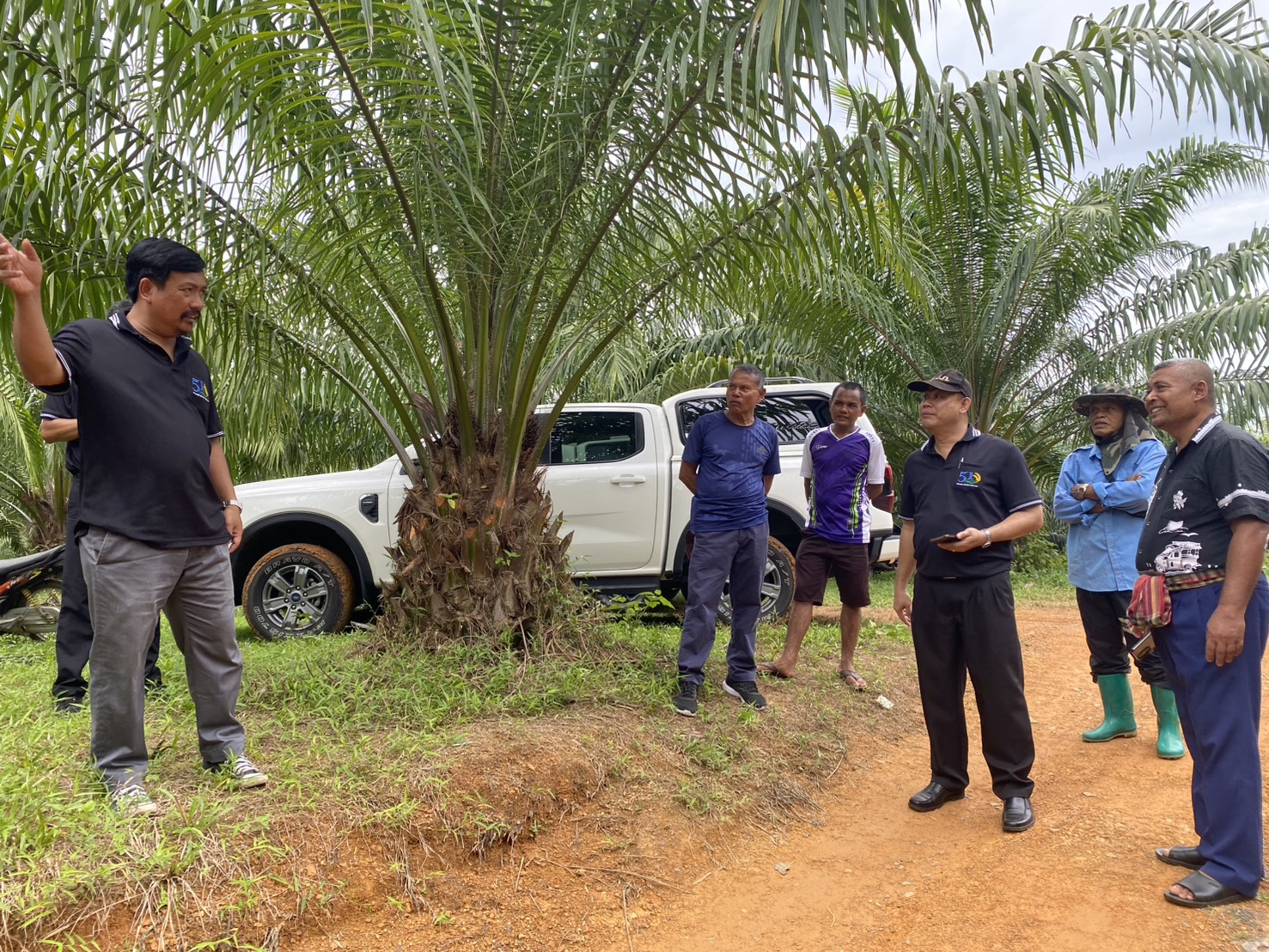 title - สำนักงานการปฏิรูปที่ดินจังหวัดตรัง ลงพื้นที่ตรวจเยี่ยมแปลงเกษตรกรในเขตปฏิรูปที่ดินจังหวัดตรัง    