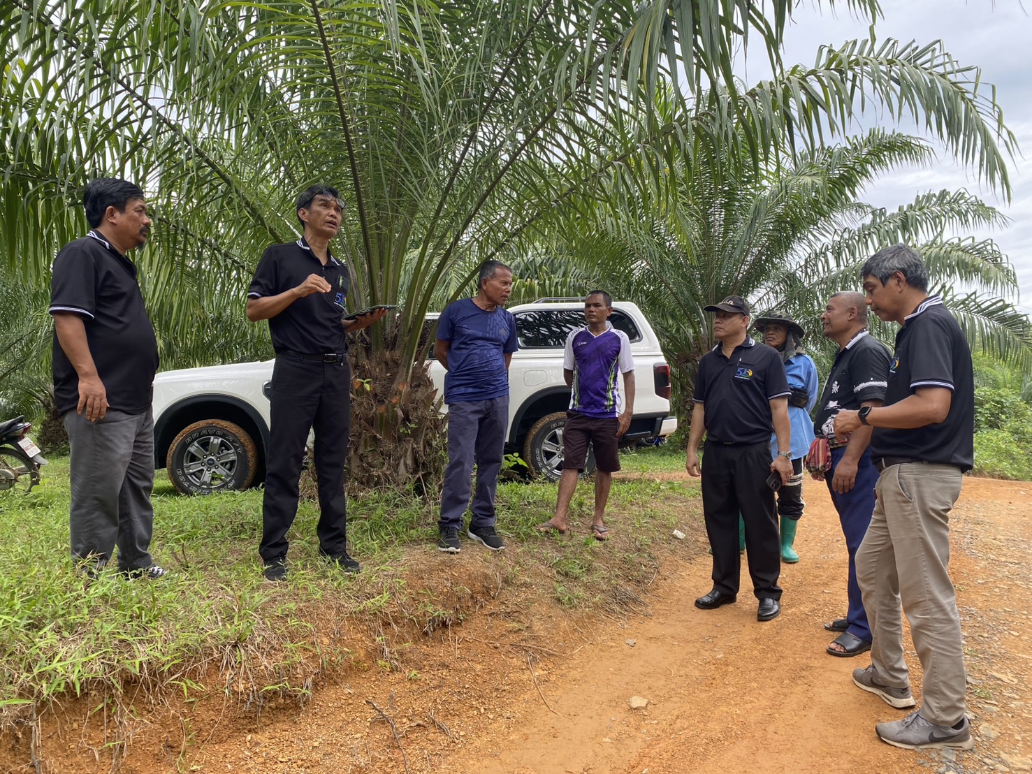 title - สำนักงานการปฏิรูปที่ดินจังหวัดตรัง ลงพื้นที่ตรวจเยี่ยมแปลงเกษตรกรในเขตปฏิรูปที่ดินจังหวัดตรัง    