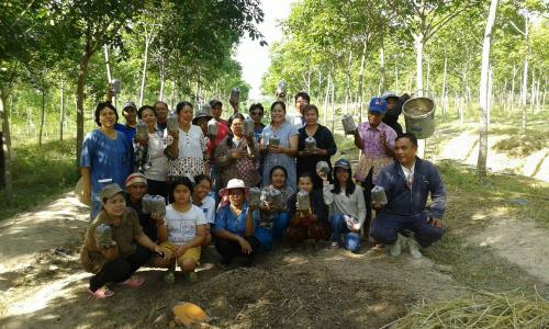 การจัดฝึกอบรมหลักสูตร “การเพาะเห็ดฟาง” ภายใต้โครงการพัฒนาธุรกิจชุมชน
