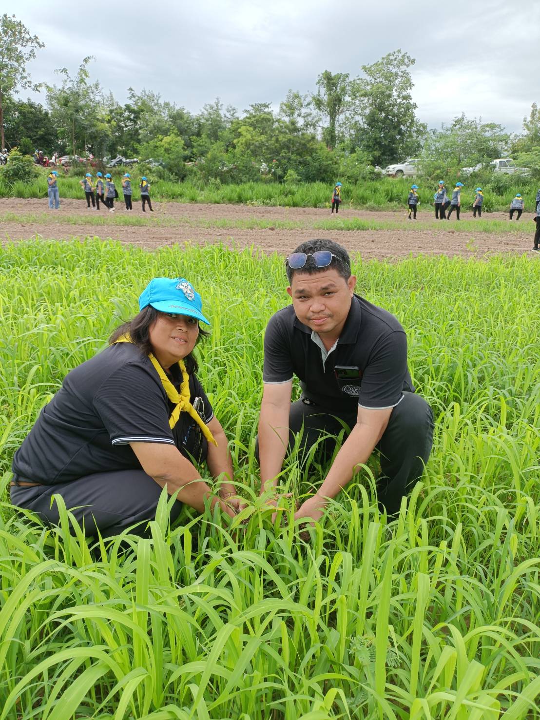 title - ส.ป.ก.อุตรดิตถ์ ร่วมกิจกรรมจิตอาสาพัฒนาปลูกต้นไม้ เนื่องในโอกาสวันคล้ายวันพระราชสมภพ สมเด็จพระนางเจ้าสิริกิติ์ พระบรมราชินี พระบรมราชชนนีพันปีหลวง และวันแม่แห่งชาติ
