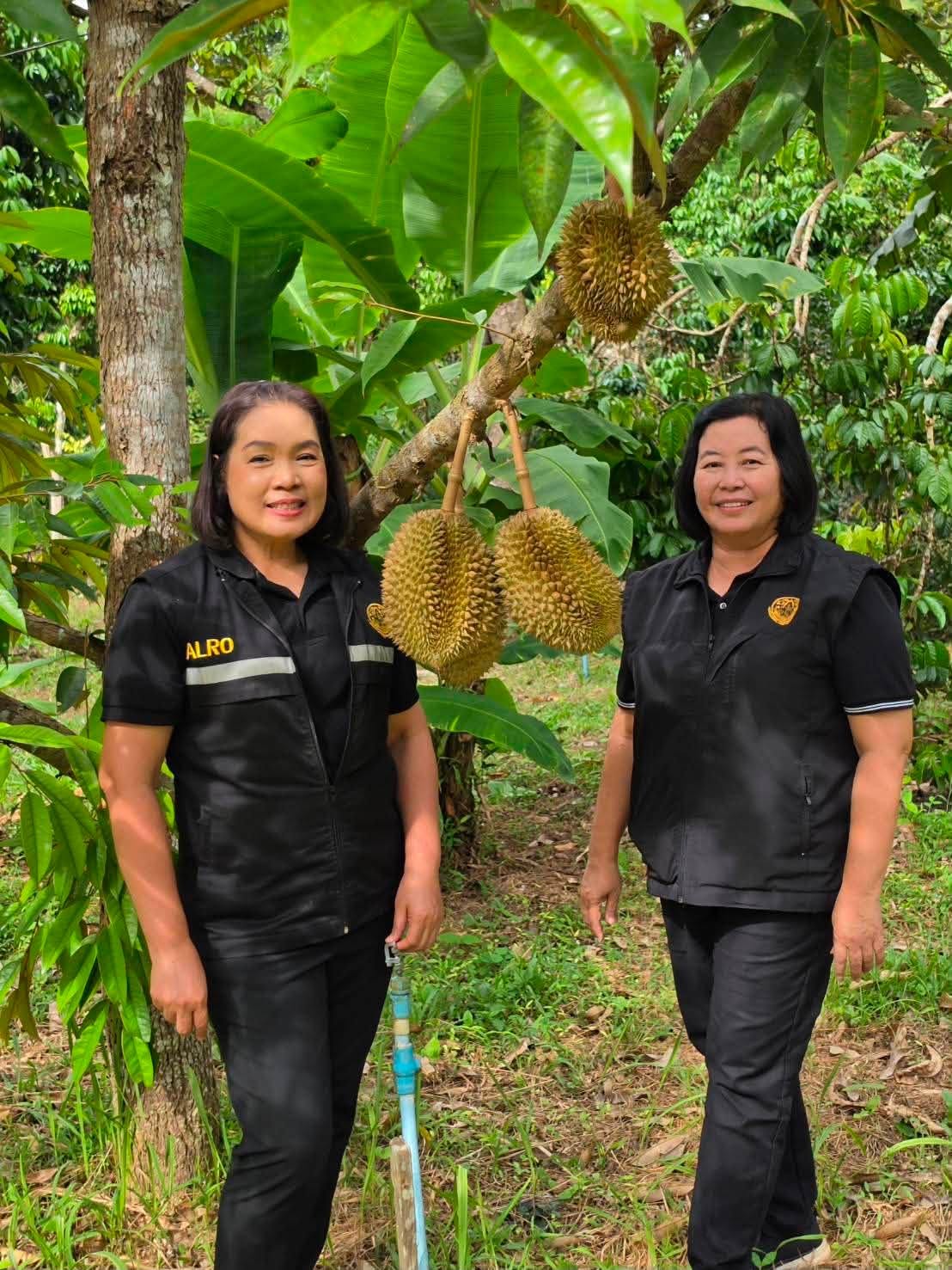 title - ผู้ตรวจราชการ ส.ป.ก. ลงพื้นที่และประชุมติดตามผลการดำเนินงานตามแผนการตรวจราชการ ของ ส.ป.ก. ประจำปีงบประมาณ พ.ศ. ๒๕๖๙ รอบที่ ๒ จังหวัดอุตรดิตถ์