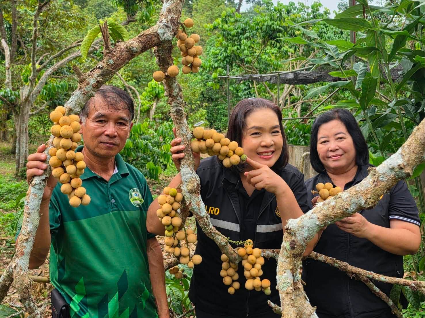 title - ผู้ตรวจราชการ ส.ป.ก. ลงพื้นที่และประชุมติดตามผลการดำเนินงานตามแผนการตรวจราชการ ของ ส.ป.ก. ประจำปีงบประมาณ พ.ศ. ๒๕๖๙ รอบที่ ๒ จังหวัดอุตรดิตถ์