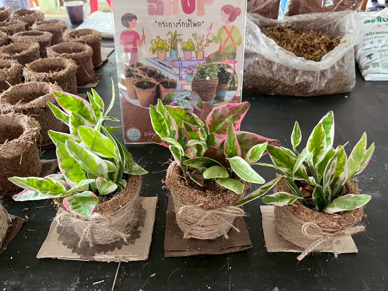 title - ส.ป.ก.อุตรดิตถ์ จัดโครงการงานรณรงค์หยุดเผาในเขตปฏิรูปที่ดิน “ฮักบ้านเฮา หยุดเผากันเน้อ” พร้อมเปิดศูนย์รณรงค์หยุดการเผาอย่างเป็นทางการ