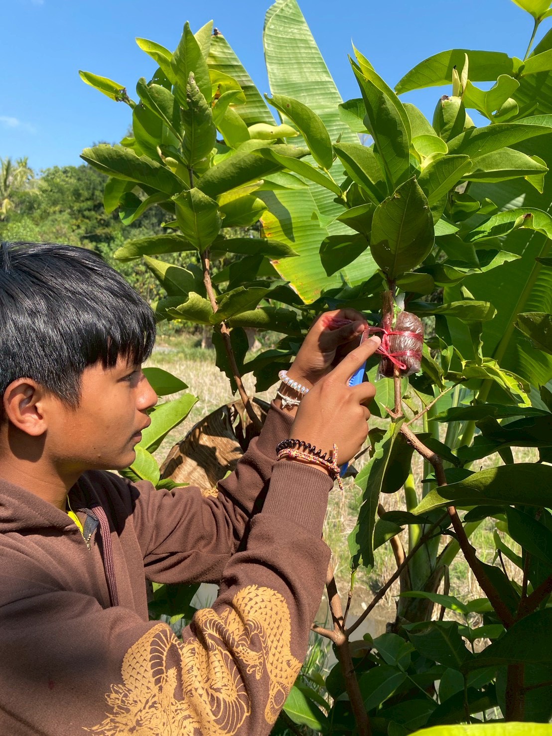 title - ส.ป.ก. อุตรดิตถ์ จัดฝึกอบรมโครงการอนุรักษ์พันธุกรรมพืชอันเนื่องมาจากพระราชดำริ  สมเด็จพระเทพรัตนราชสุดาฯ สยามบรมราชกุมารี ประจำปี ๒๕๖๙