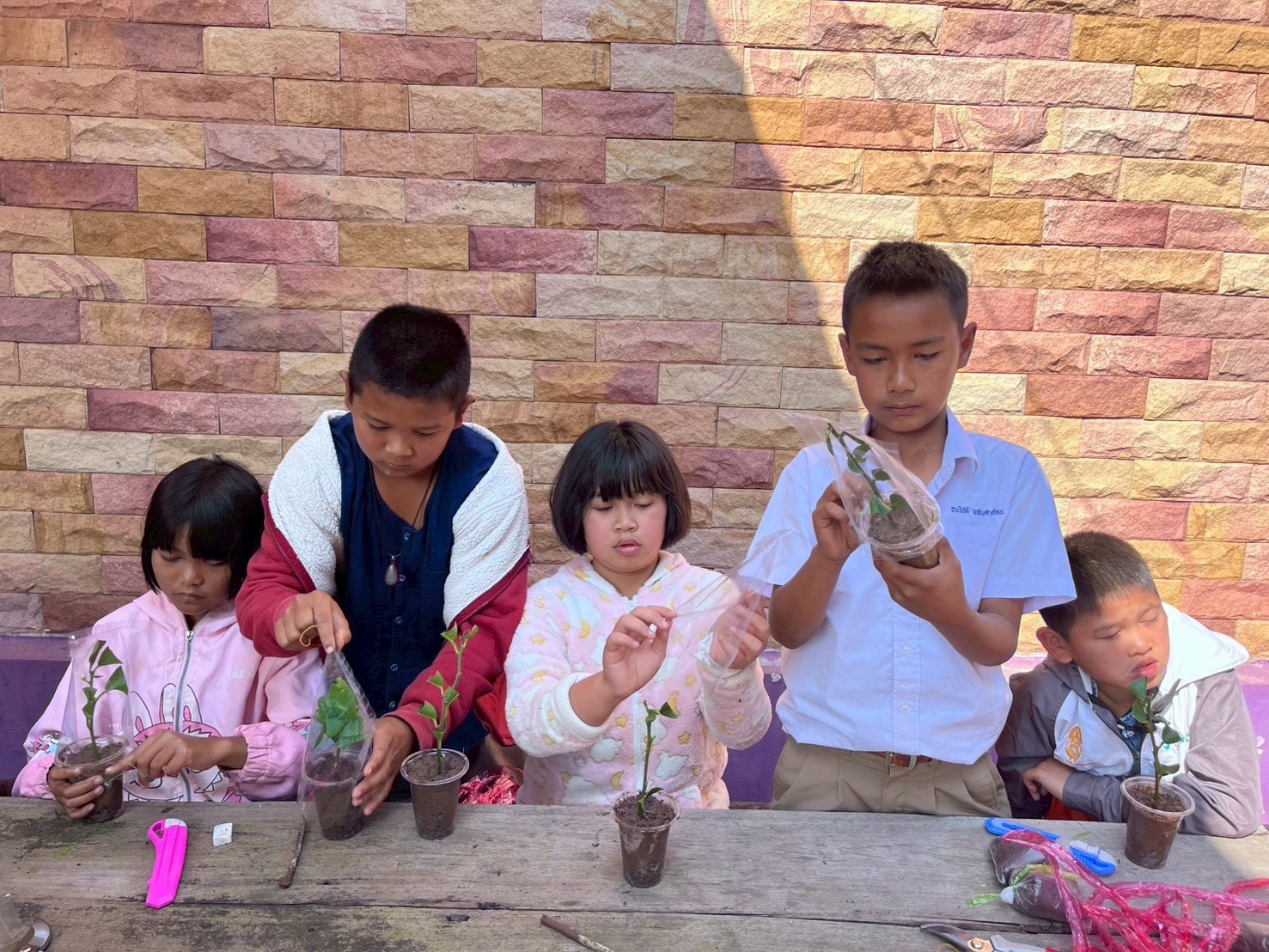 title - ส.ป.ก. อุตรดิตถ์ จัดฝึกอบรมโครงการอนุรักษ์พันธุกรรมพืชอันเนื่องมาจากพระราชดำริ  สมเด็จพระเทพรัตนราชสุดาฯ สยามบรมราชกุมารี ประจำปี ๒๕๖๙