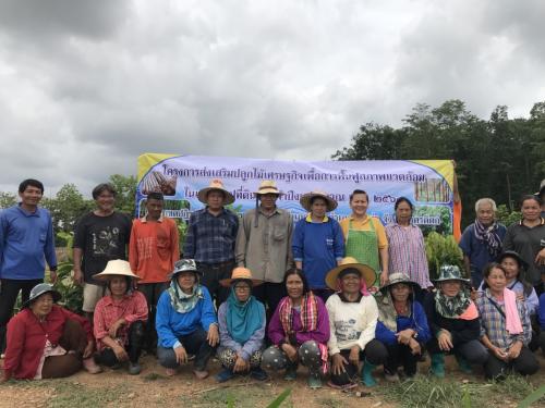 กลุ่มยุทธศาสตร์ฯ ส.ป.ก.อุตรดิตถ์ สนับสนุนพันธุ์ไม้เศรษฐกิจแก่เกษตรกร ตามโครงการส่งเสริมปลูกไม้เศรษฐกิจเพื่อฟื้นฟูสภาพแวดล้อมในเขตปฏิรูปที่ดิน ปีงบประมาณ 2561 พื้นที่บ้านเขาสัก ม.10 ต.ผักขวง อ.ทองแสนขัน จ.อุตรดิตถ์ เมื่อวันพฤหัสบดีที่ 29 มิ.ย. 61