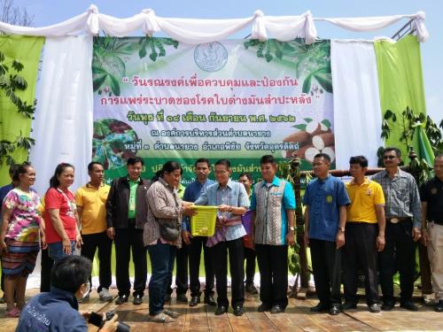 ส.ป.ก.อุตรดิตถ์ ร่วมพิธีเปิดงานรณรงค์เพื่อควบคุมและป้องกันการแพร่ระบาดของโรคใบด่างมันสำปะหลัง ระดับจังหวัดอุตรดิตถ์ ปี 2562 ณ องค์การบริหารส่วนตำบลนายาง ม.3 ต.นายาง อ.พิชัย จ.อุตรดิตถ์ ในวันพุธที่ 18 ก.ย.62