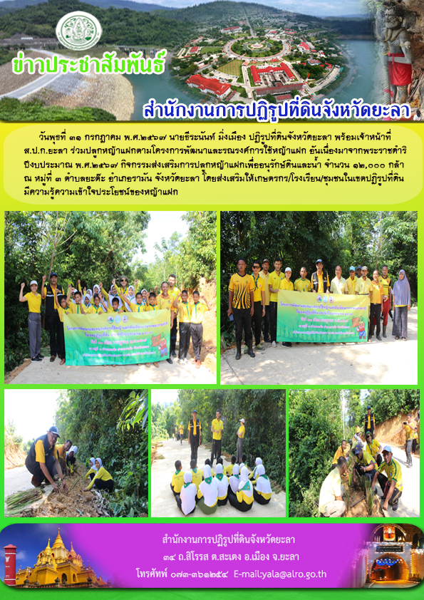 วันพุธที่ 31 กรกฎาคม พ.ศ.2567 นายธีระนันท์ มิ่งเมือง ปฏิรูปที่ดินจังหวัดยะลา พร้อมเจ้าหน้าที่  ส.ป.ก.ยะลา ร่วมปลูกหญ้าแฝกตามโครงการพัฒนาและรณรงค์การใช้หญ้าแฝก อันเนื่องมาจากพระราชดำริ ปีงบประมาณ พ.ศ.2567 กิจกรรมส่งเสริมการปลูกหญ้าแฝกเพื่ออนุรักษ์ดินและน้ำ จำนวน 12,000 กล้า  ณ หมู่ที่ 3 ตำบลยะต๊ะ อำเภอรามัน จังหวัดยะลา โดยส่งเสริมให้เกษตรกร/โรงเรียน/ชุมชนในเขตปฏิรูปที่ดิน มีความรู้ความเข้าใจประโยชน์ของหญ้าแฝก
