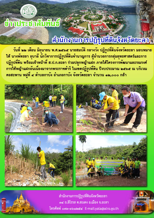 โครงการพัฒนาและรณรงค์การใช้หญ้าแฝกอันเนื่องมาจากพระราชดำริ ในเขตปฏิรูปที่ดินจังหวัดยะลา ปีงบประมาณ 2565